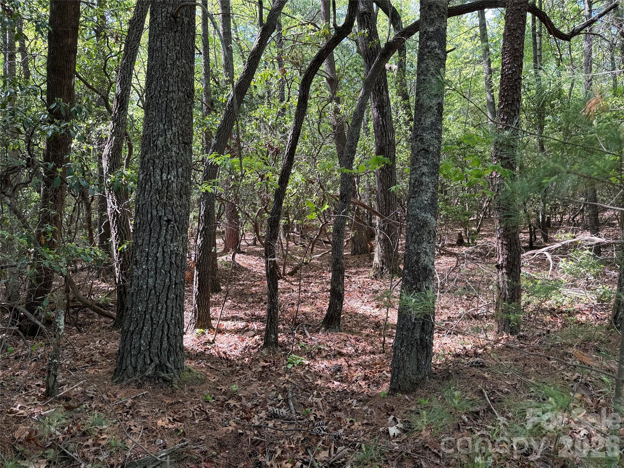 Tbd Staghorn Road 51 & 52a Property Photo 15