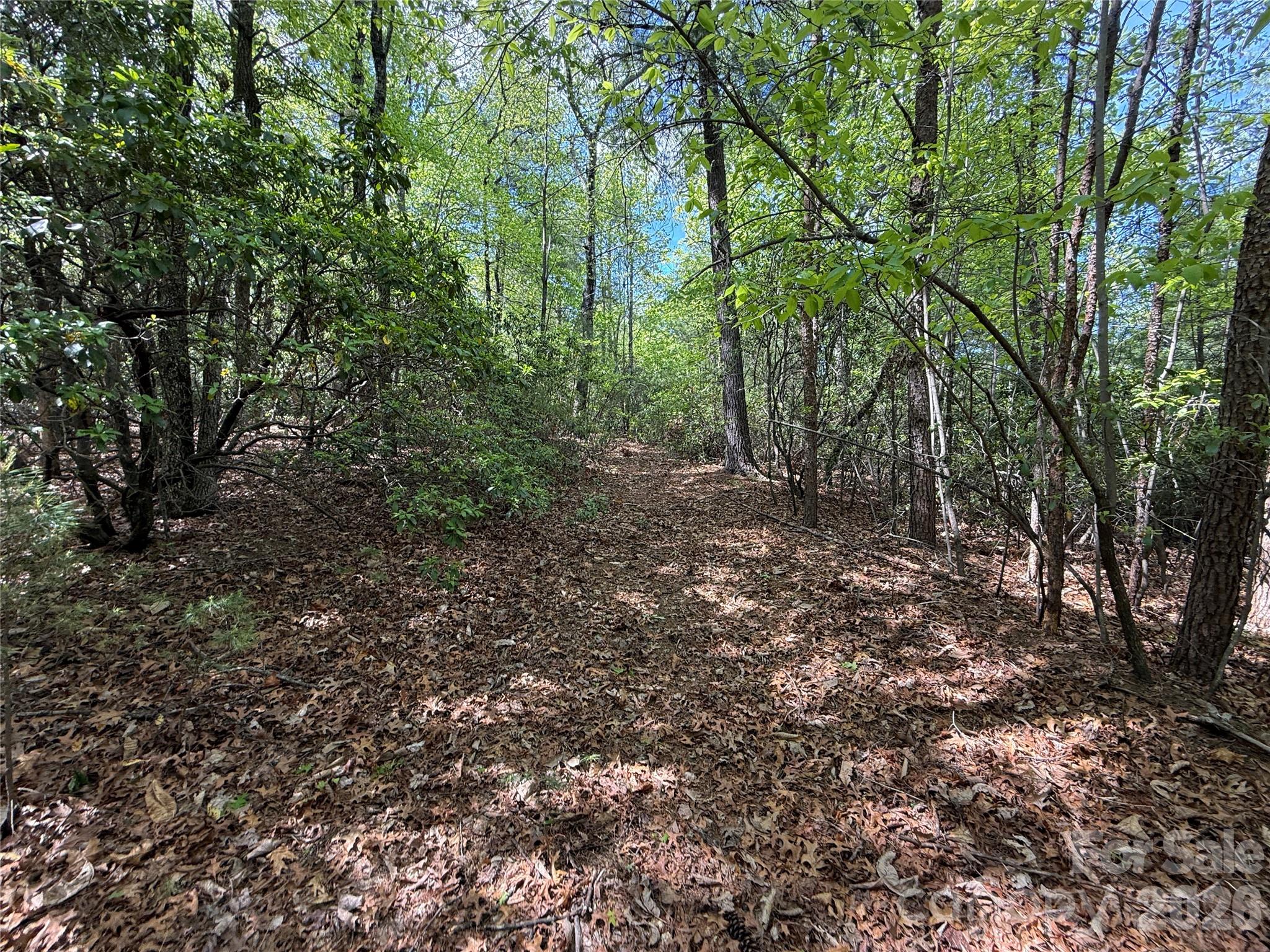 Tbd Staghorn Road 51 & 52a Property Photo 16
