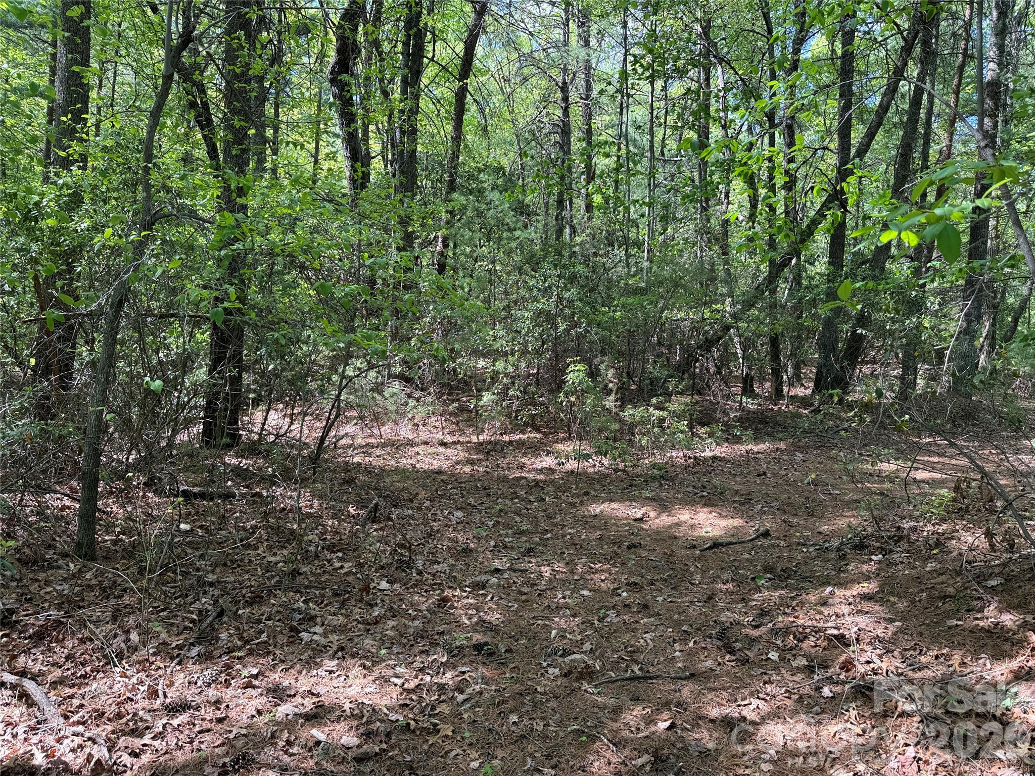 Tbd Staghorn Road 51 & 52a Property Photo 17