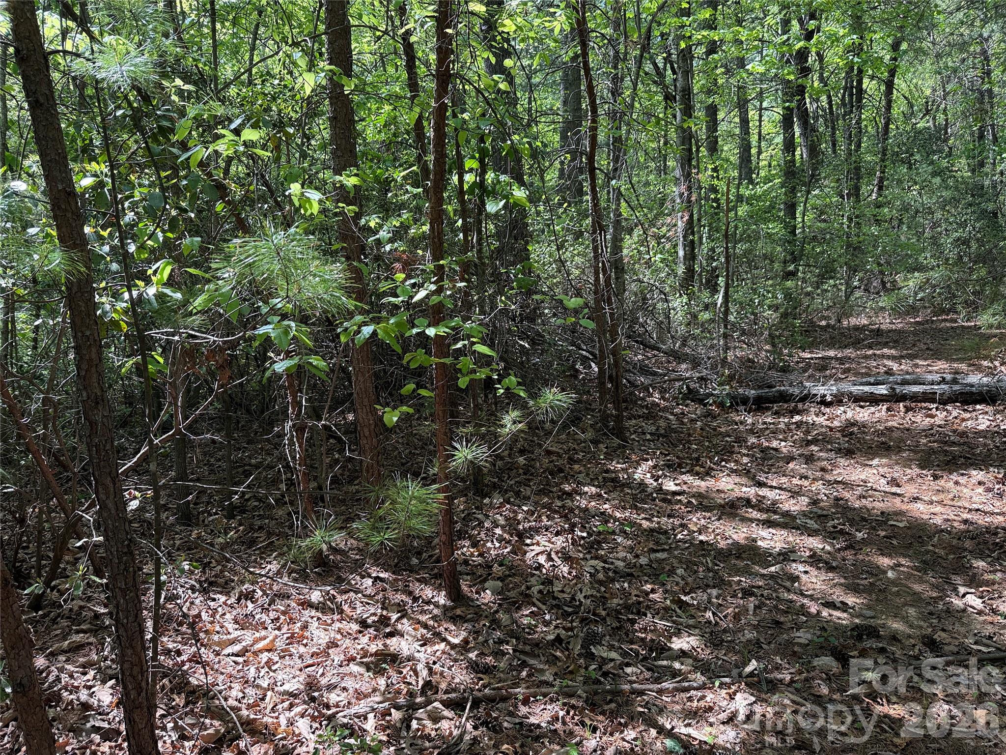 Tbd Staghorn Road 51 & 52a Property Photo 18