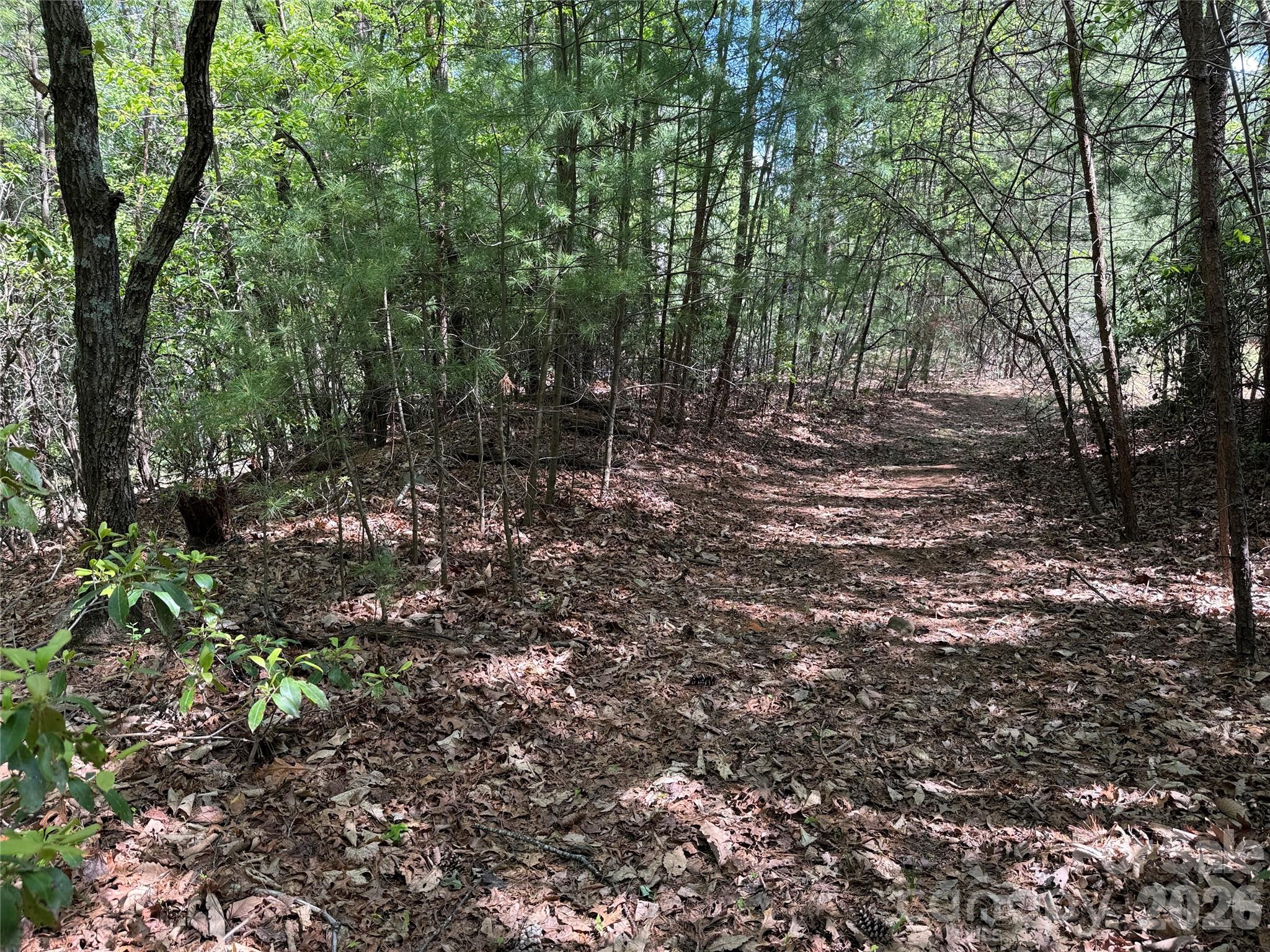 Tbd Staghorn Road 51 & 52a Property Photo 19