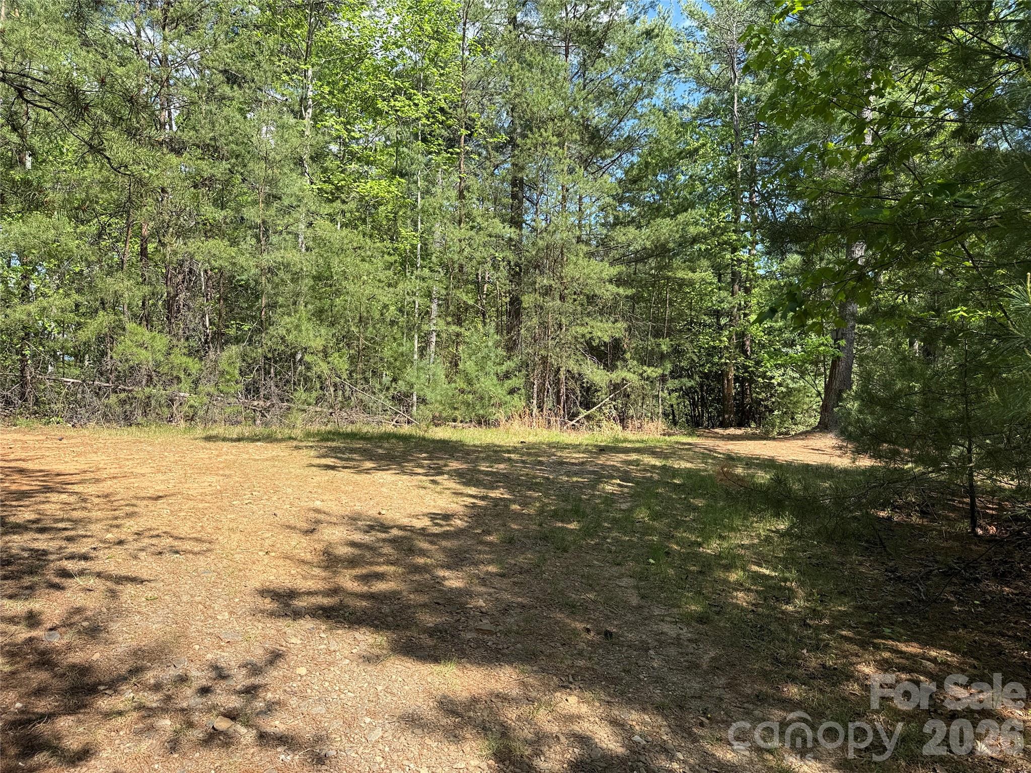 Tbd Staghorn Road 51 & 52a Property Photo 20