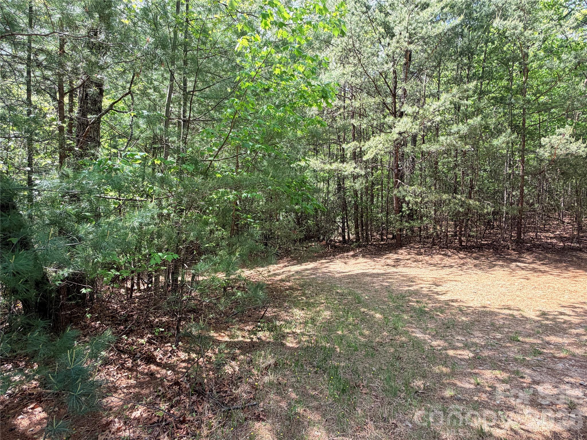 Tbd Staghorn Road 51 & 52a Property Photo 21