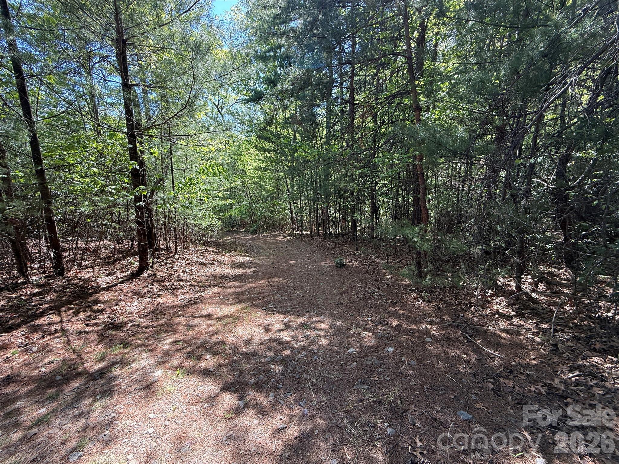 Tbd Staghorn Road 51 & 52a Property Photo 22