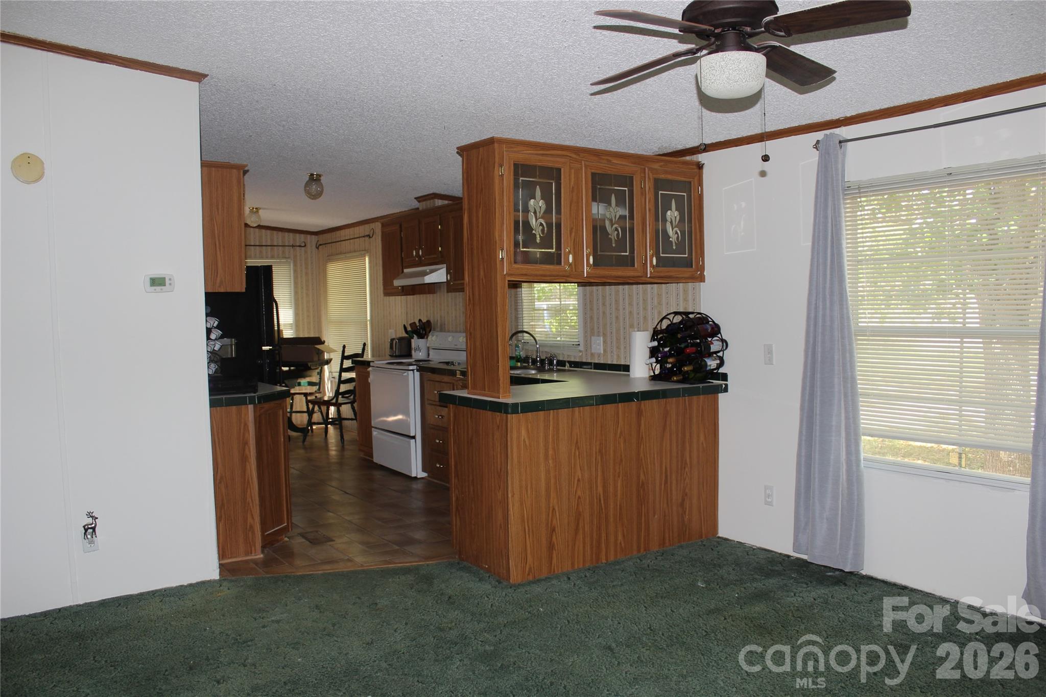 249 J L Green Lane Property Photo 19