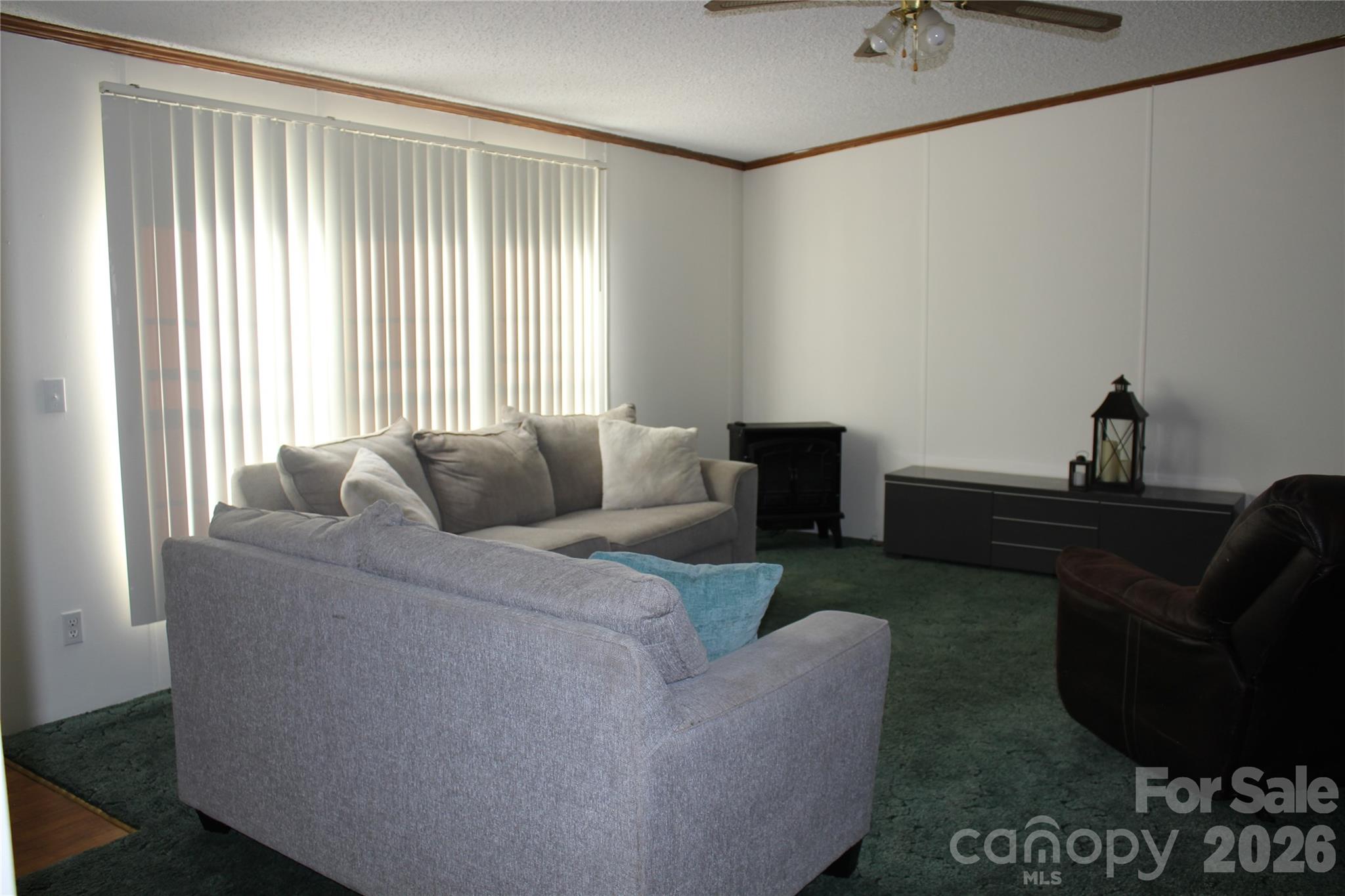 249 J L Green Lane Property Photo 21