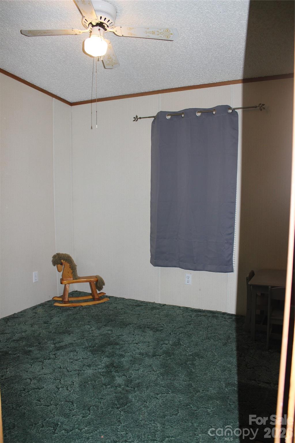 249 J L Green Lane Property Photo 29