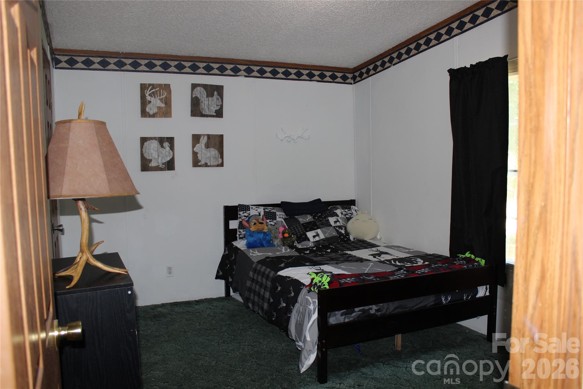 249 J L Green Lane Property Photo 33