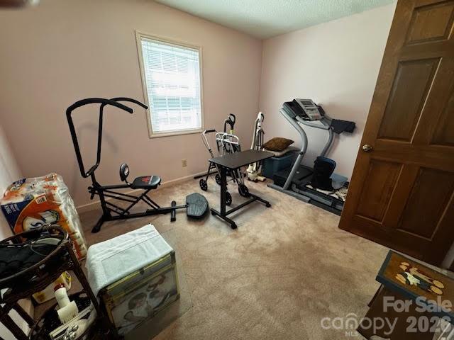 204 Brentwood Drive Property Photo 21