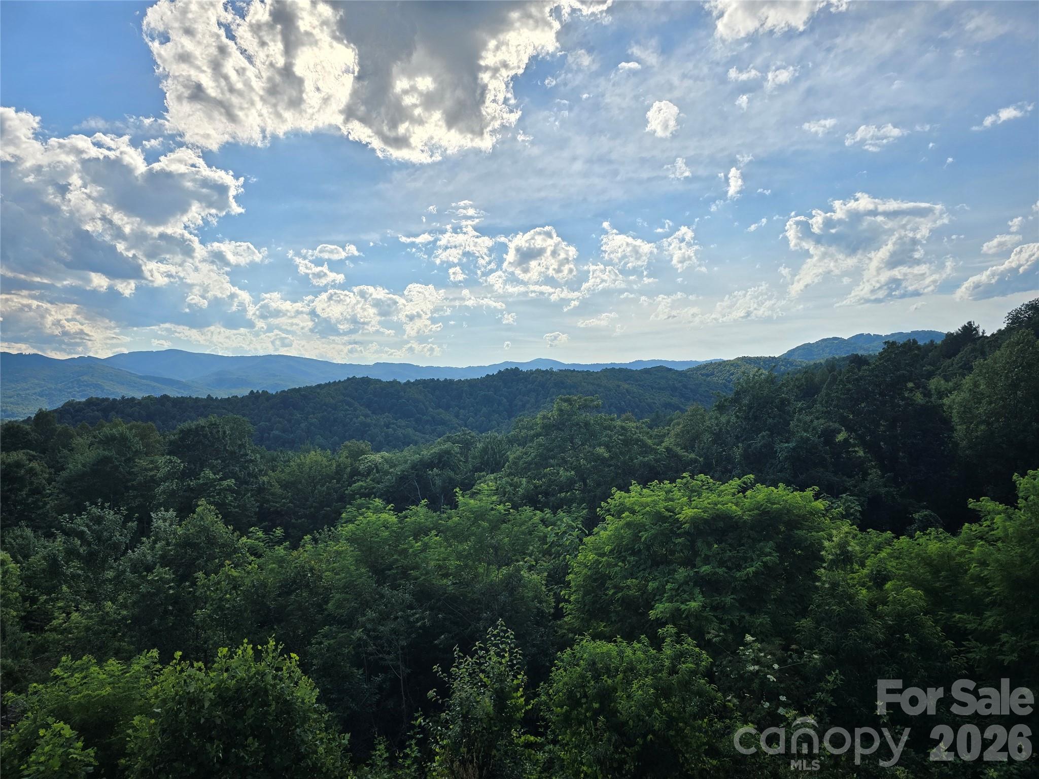 822 Windy Mountain Road Property Photo 19