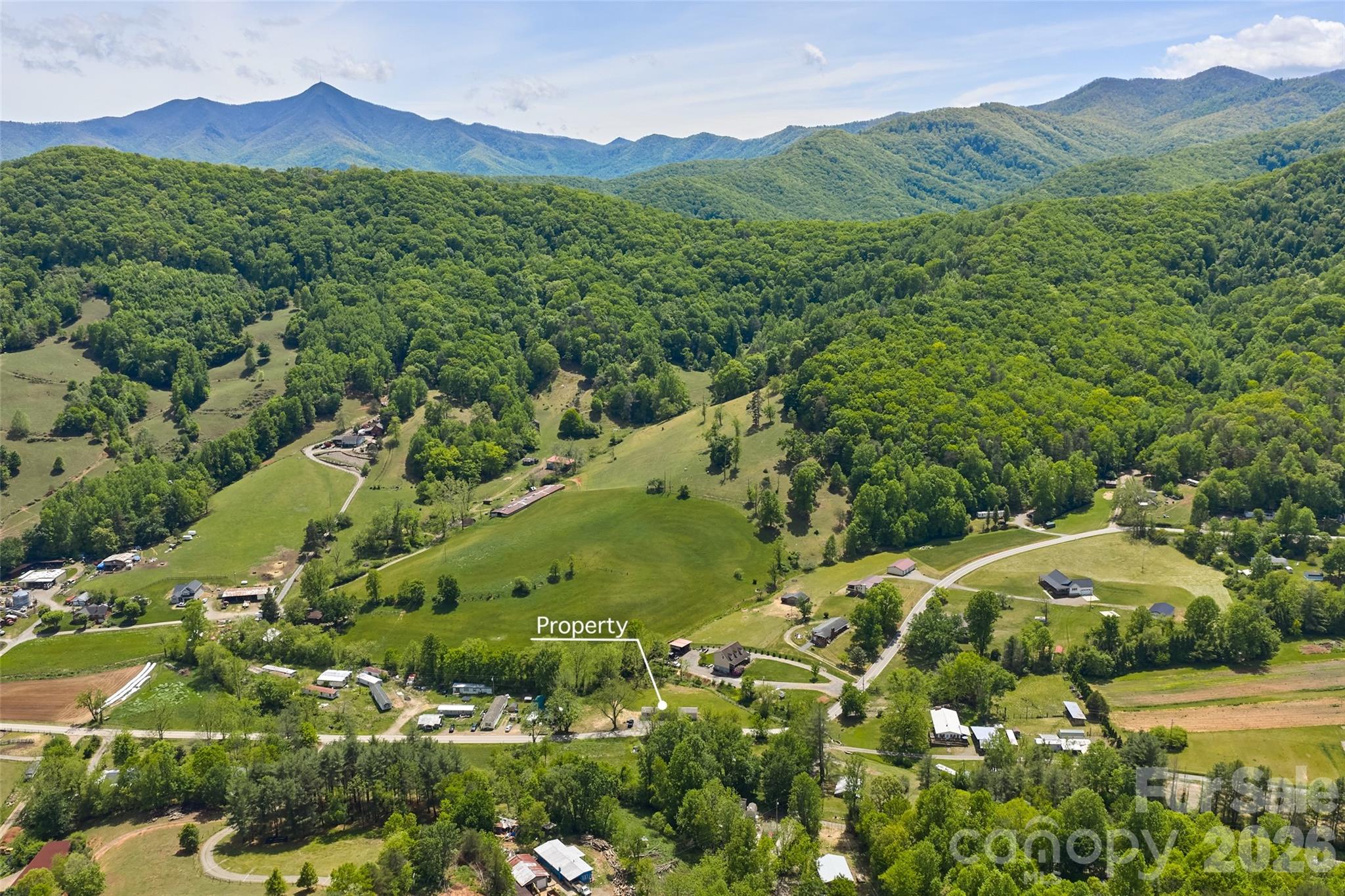 265 Curtis Creek Road Property Photo 17