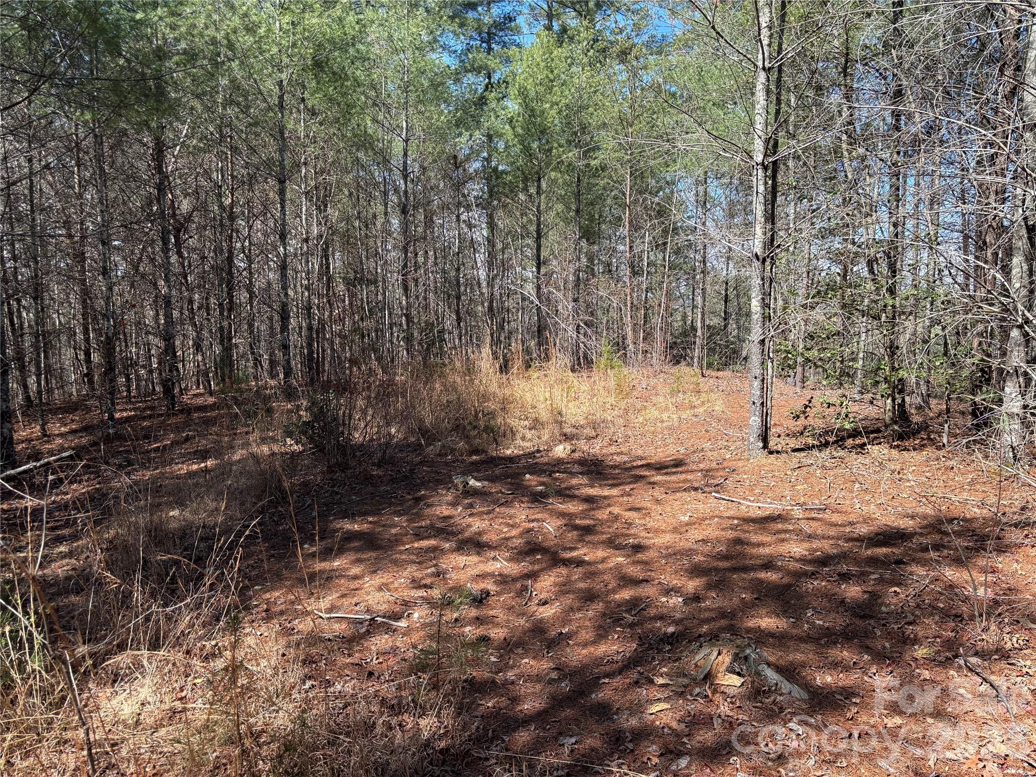 2042 Shadow Ridge Trail G41 Property Photo 1