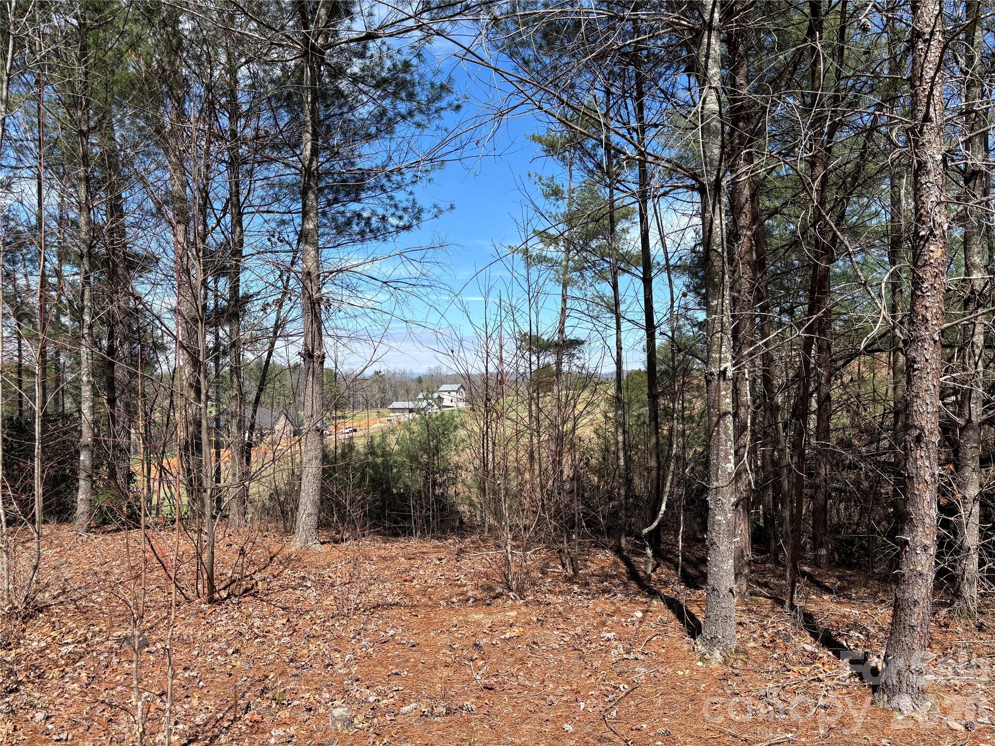 2042 Shadow Ridge Trail G41 Property Photo 2