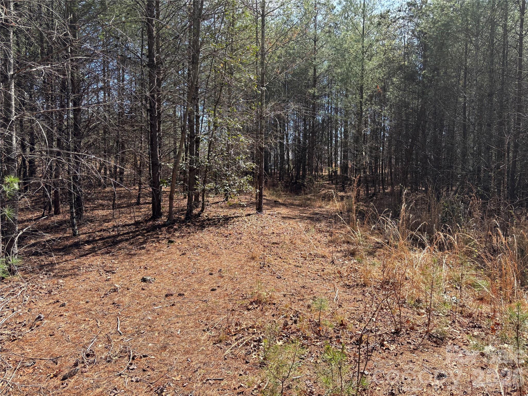 2042 Shadow Ridge Trail G41 Property Photo 3