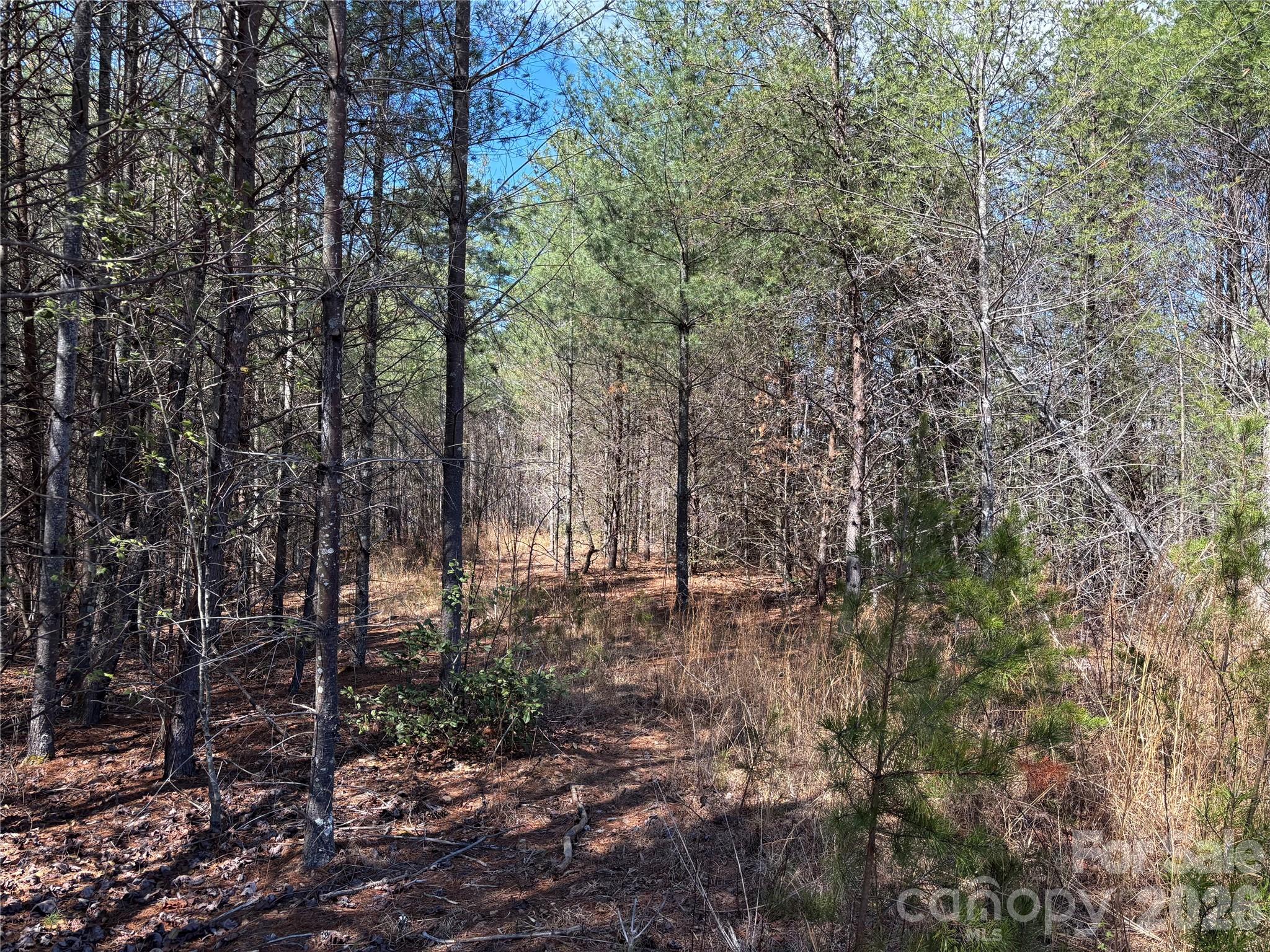 2042 Shadow Ridge Trail G41 Property Photo 4
