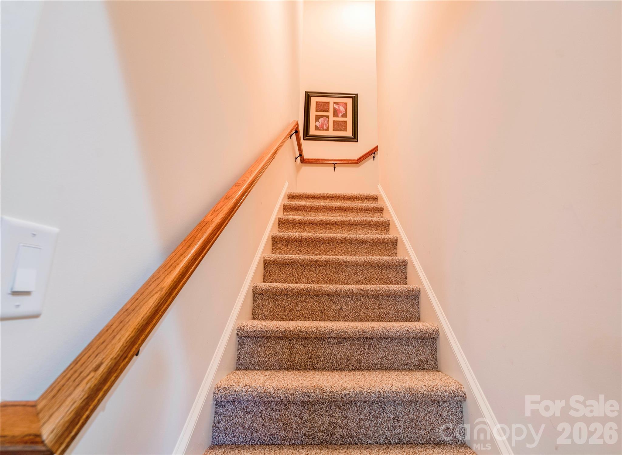 207 Cross Creek Drive Property Photo 39