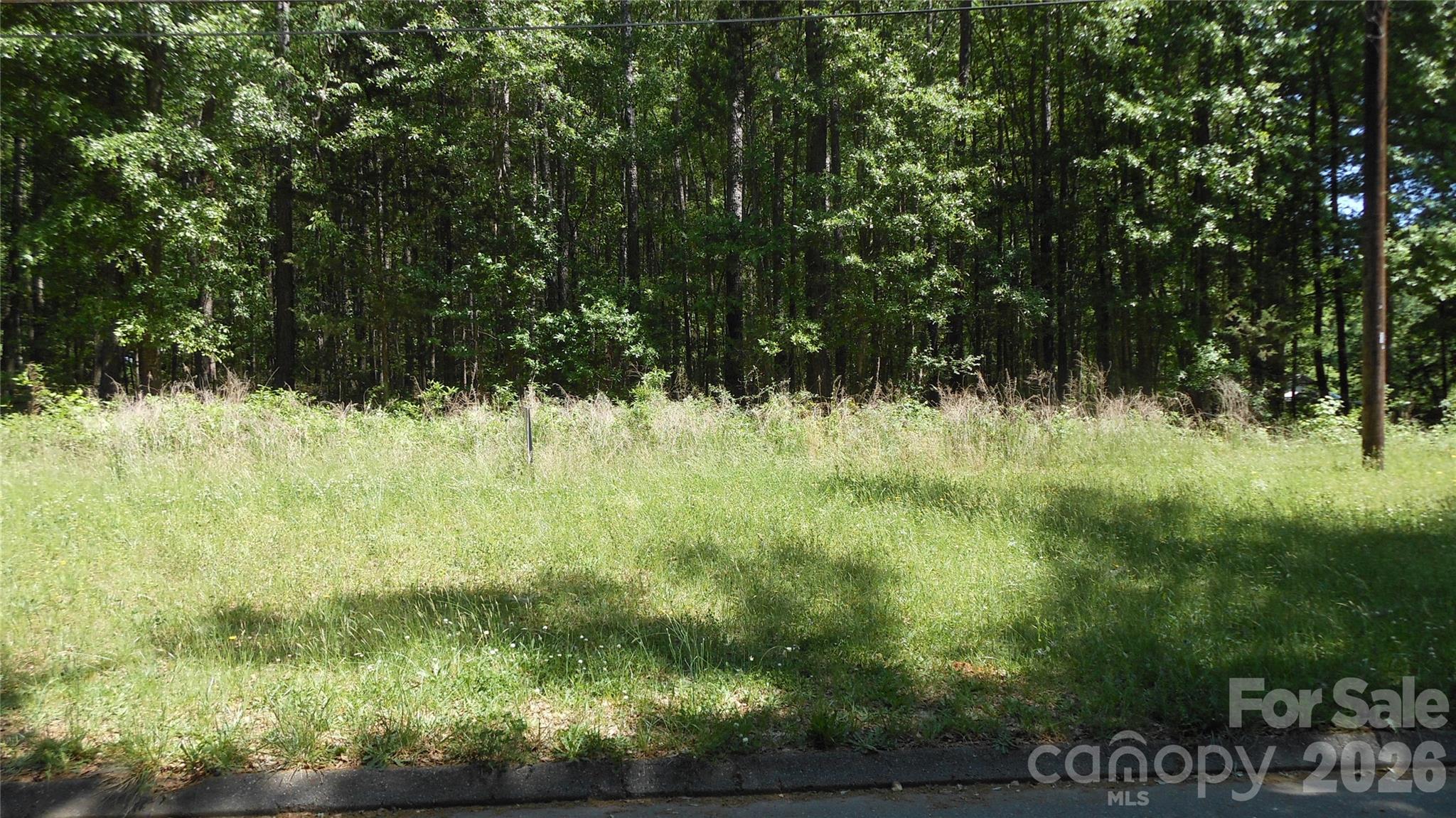1.1 Ac. (+-) Afton Drive Property Photo 1