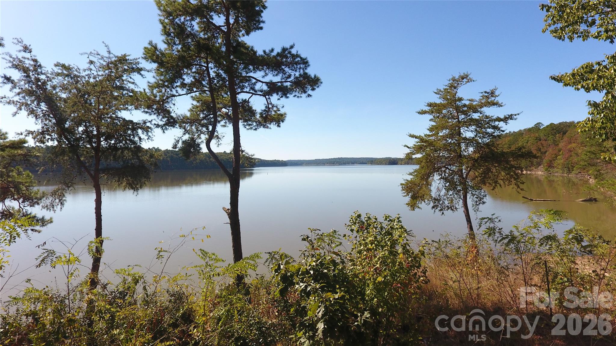 Tbd River Bluff Lane Property Photo 10