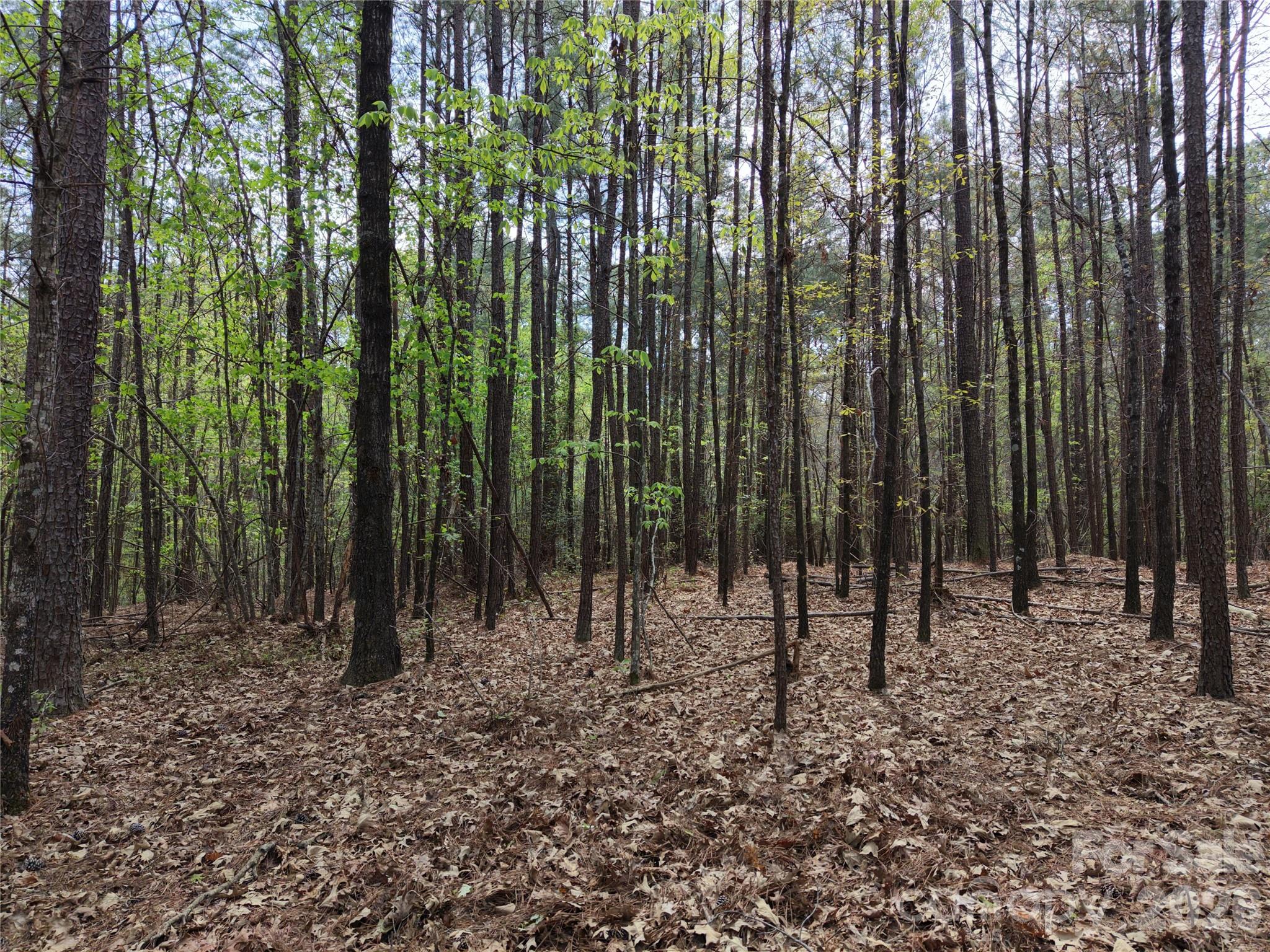 Tbd River Bluff Lane Property Photo 16