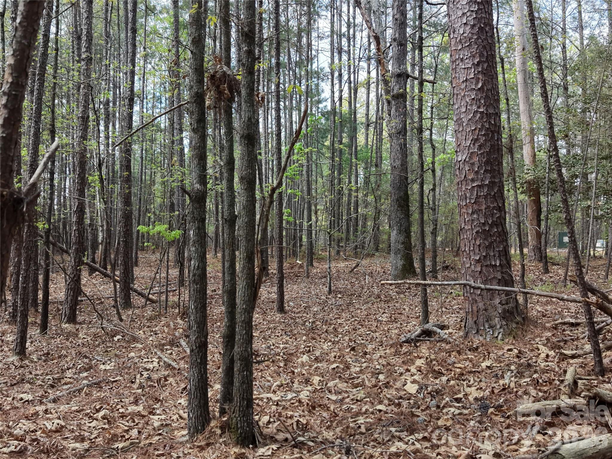 Tbd River Bluff Lane Property Photo 17