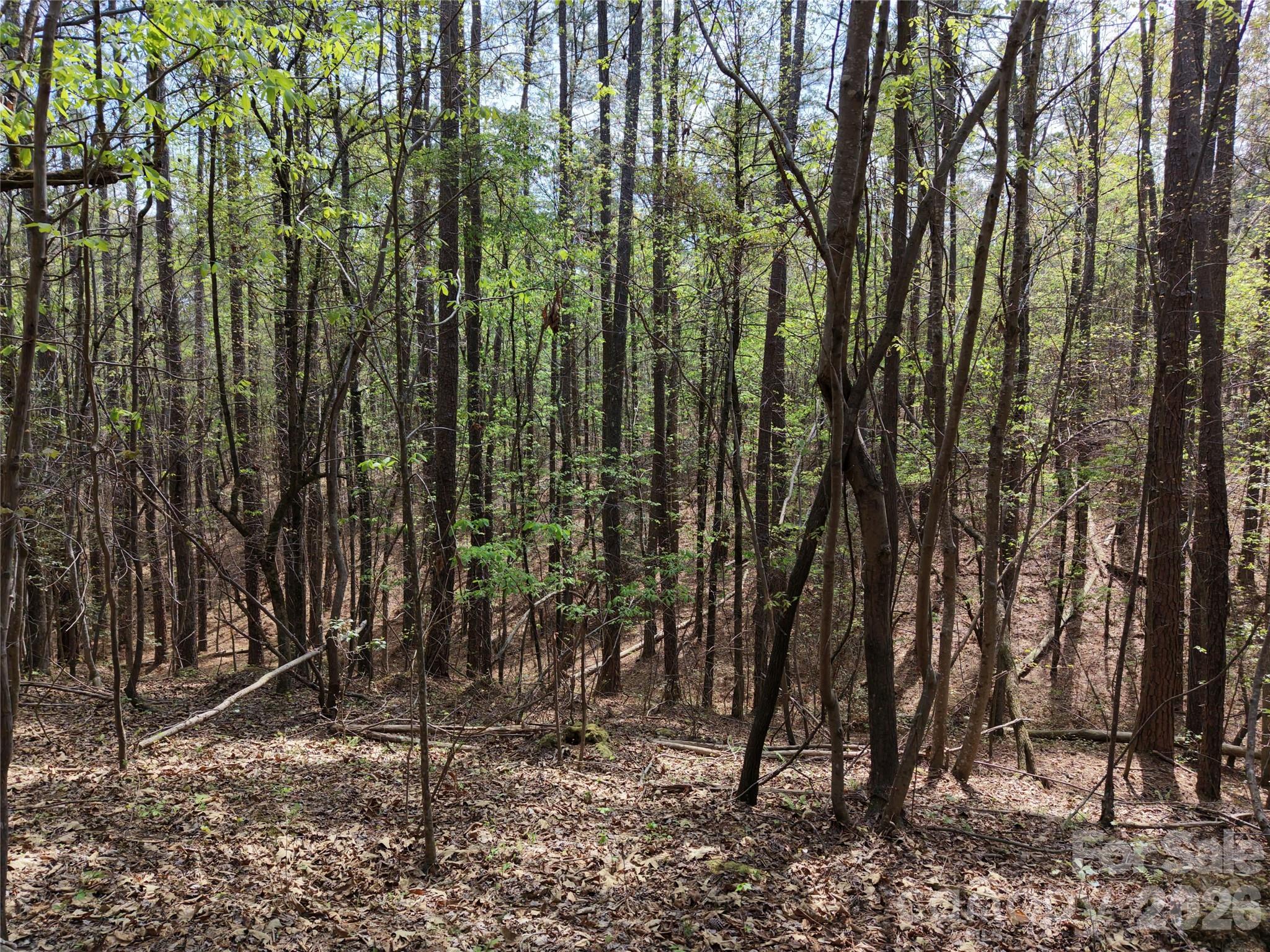 Tbd River Bluff Lane Property Photo 18