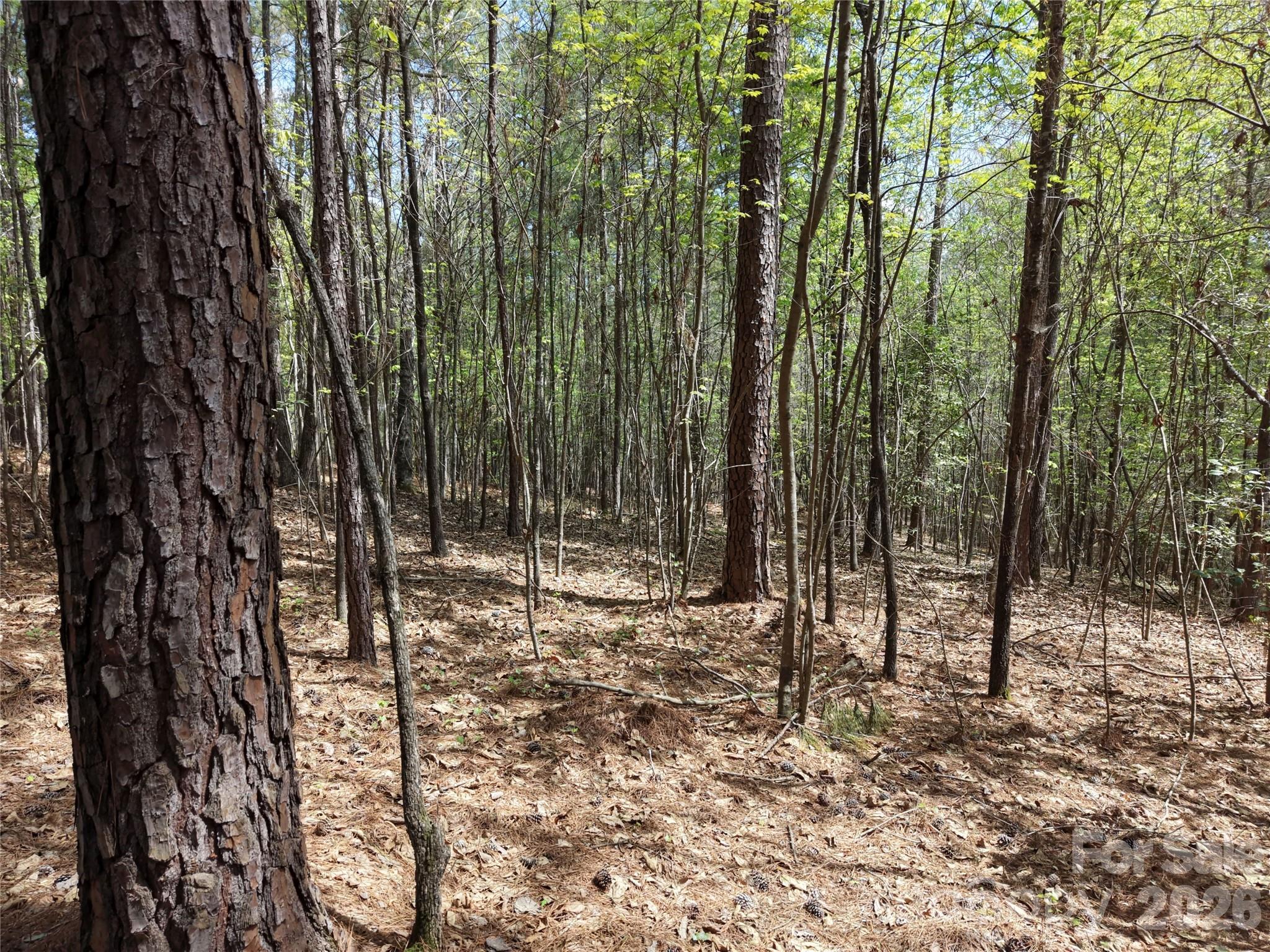 Tbd River Bluff Lane Property Photo 19