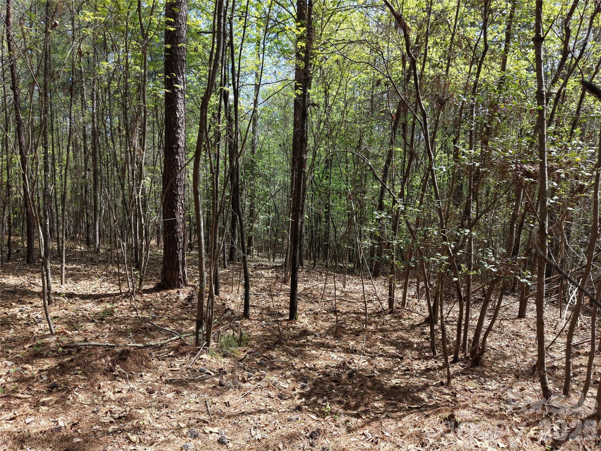 Tbd River Bluff Lane Property Photo 20
