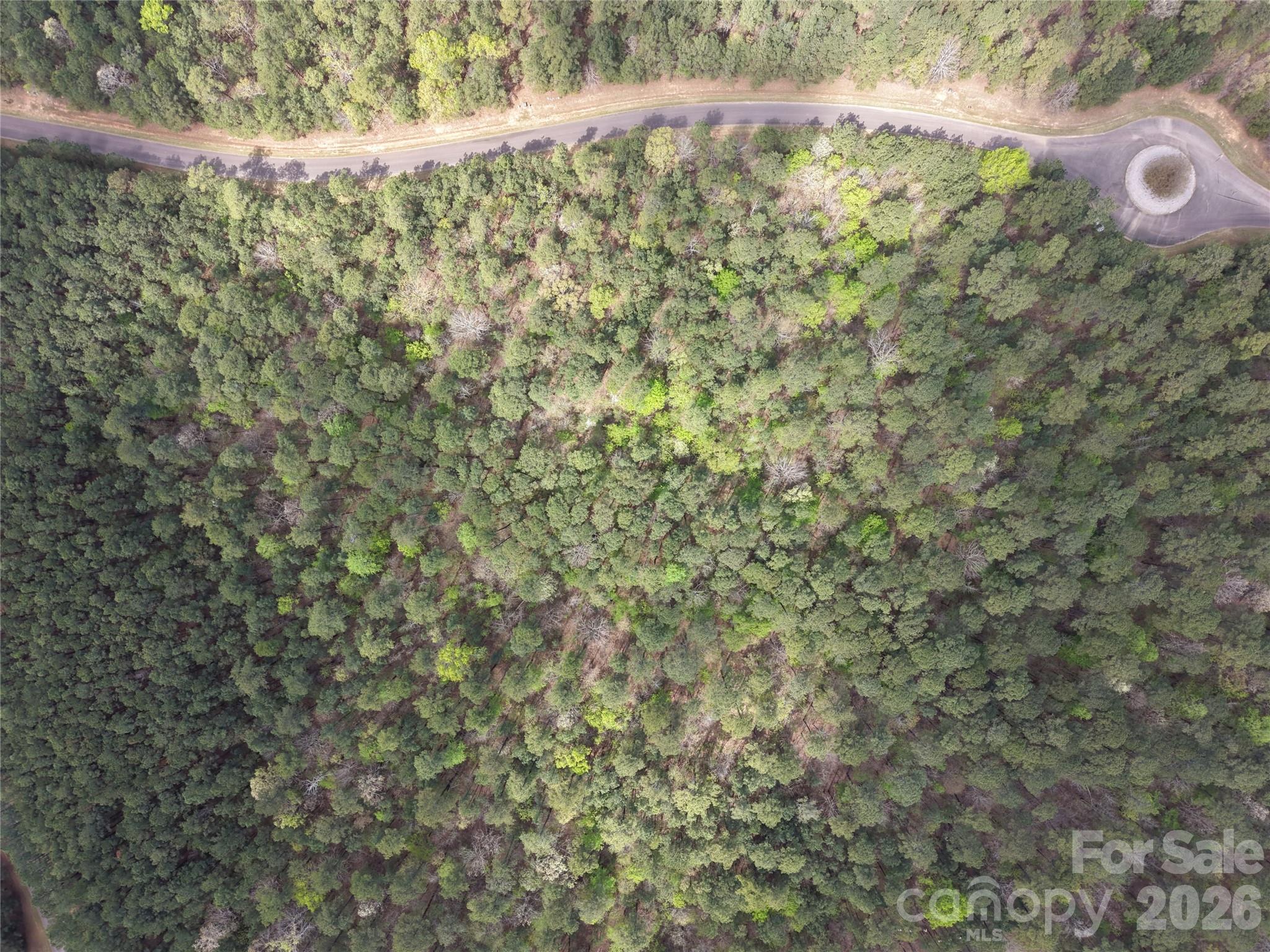 Tbd River Bluff Lane Property Photo 30