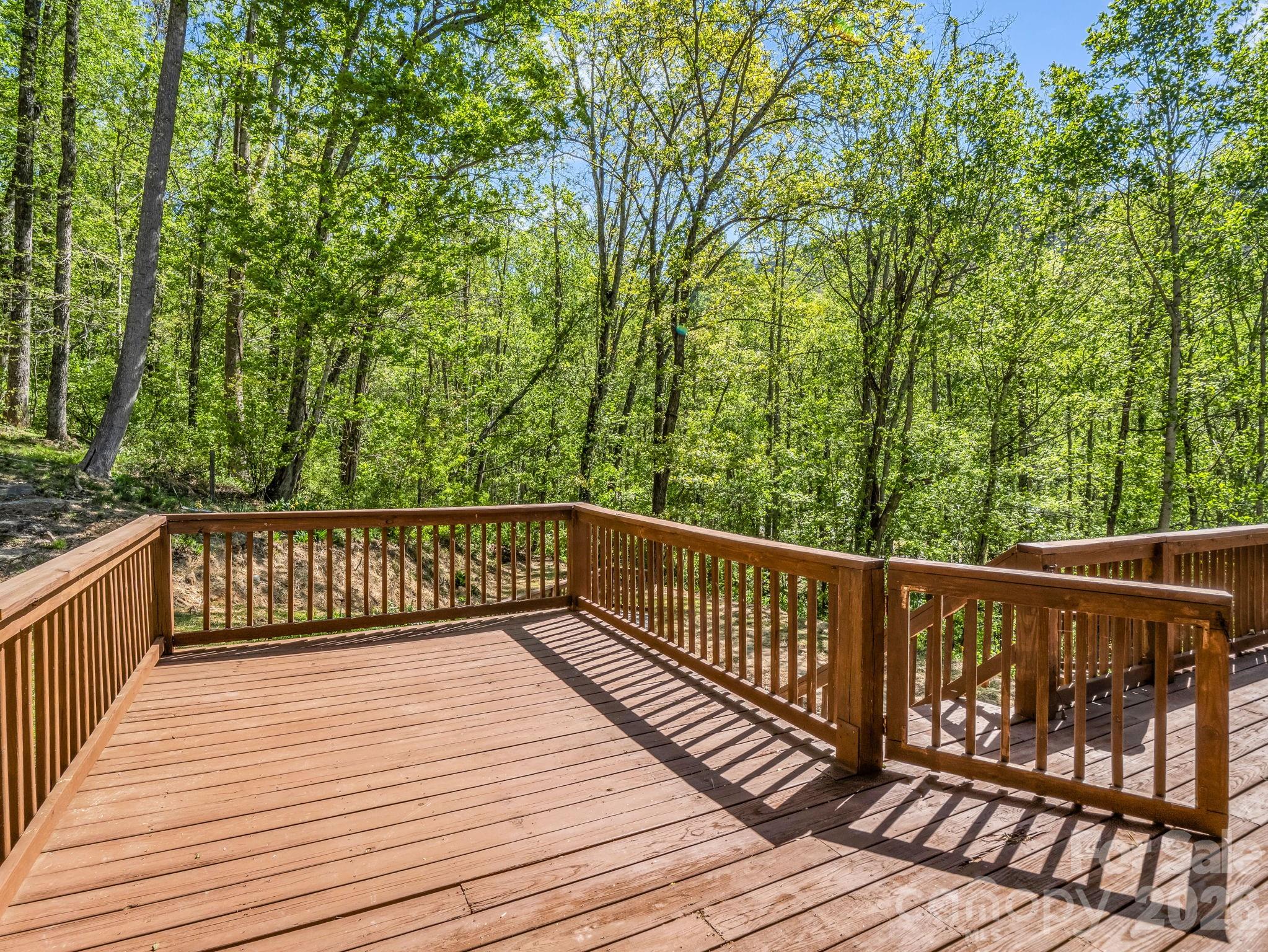 170 Old Mountain Pass Property Photo 24