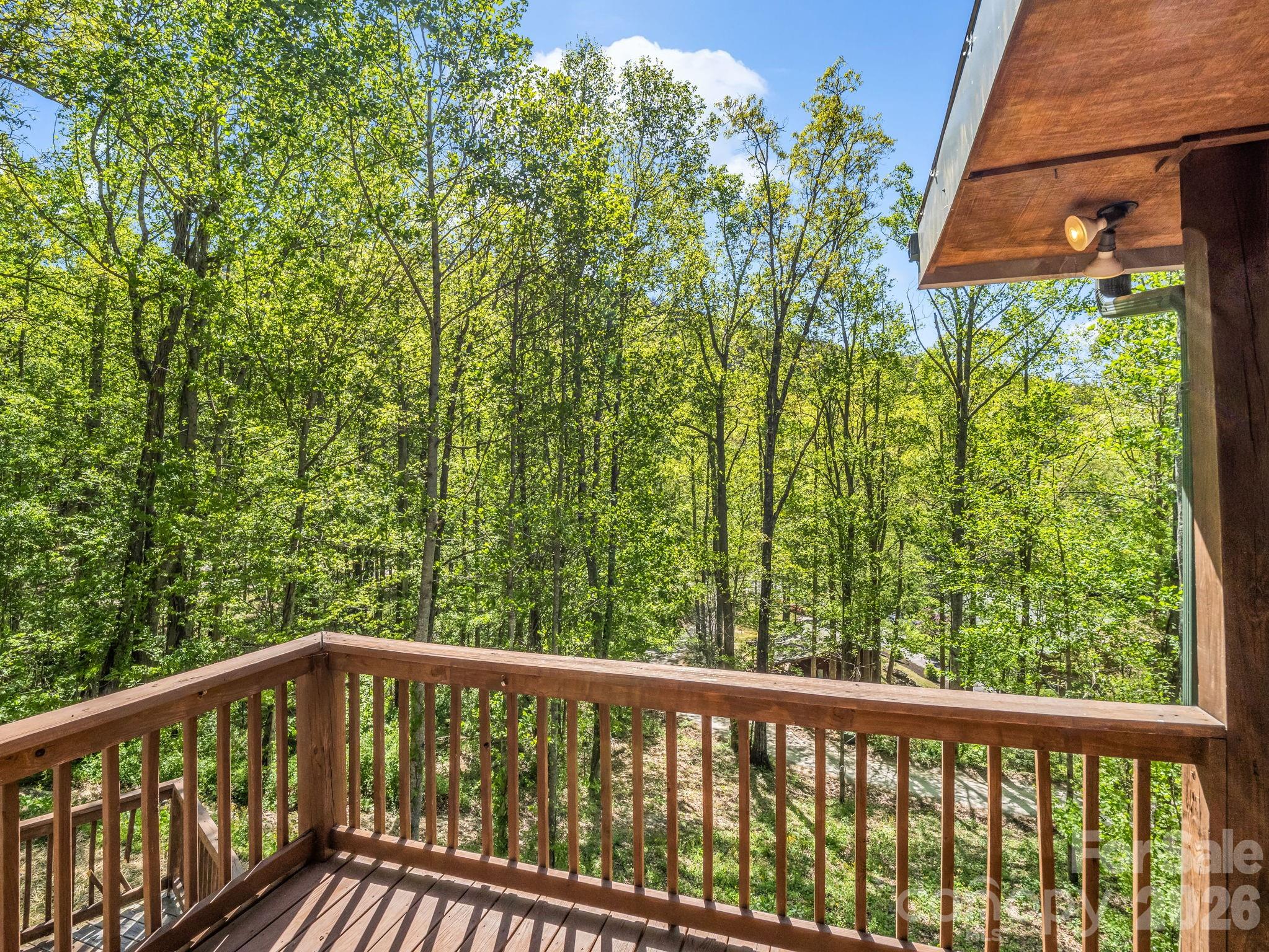 170 Old Mountain Pass Property Photo 27