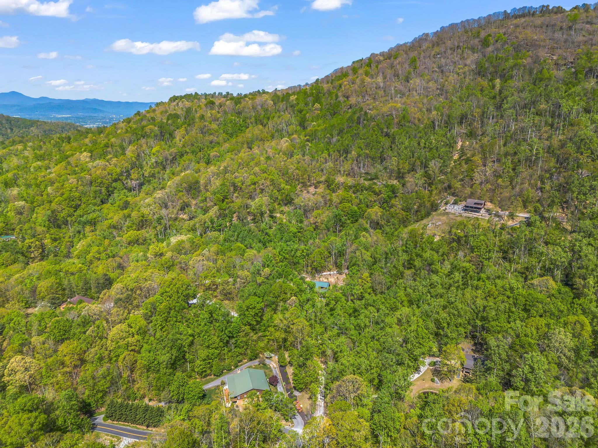 170 Old Mountain Pass Property Photo 30