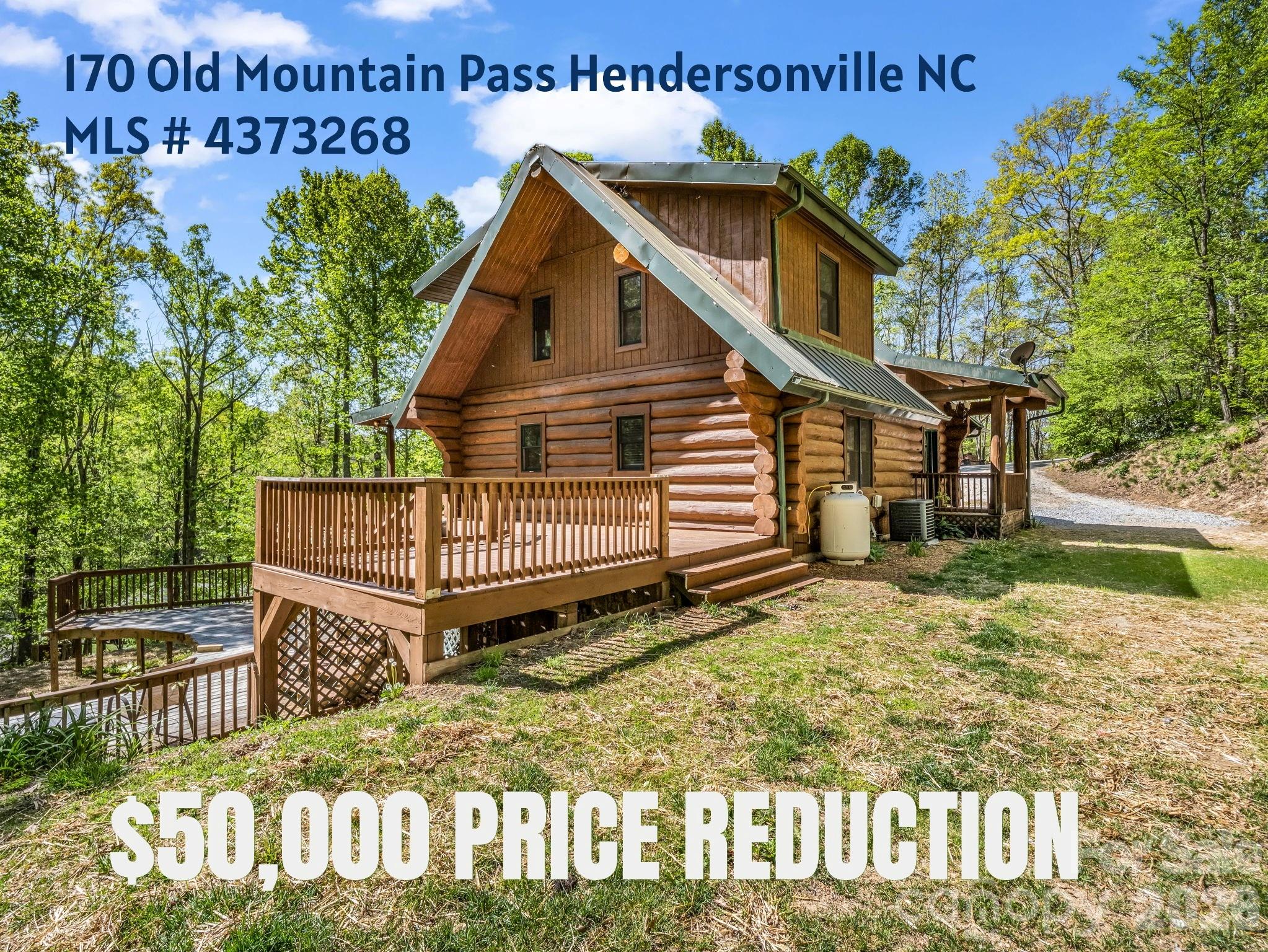 170 Old Mountain Pass Property Photo 32