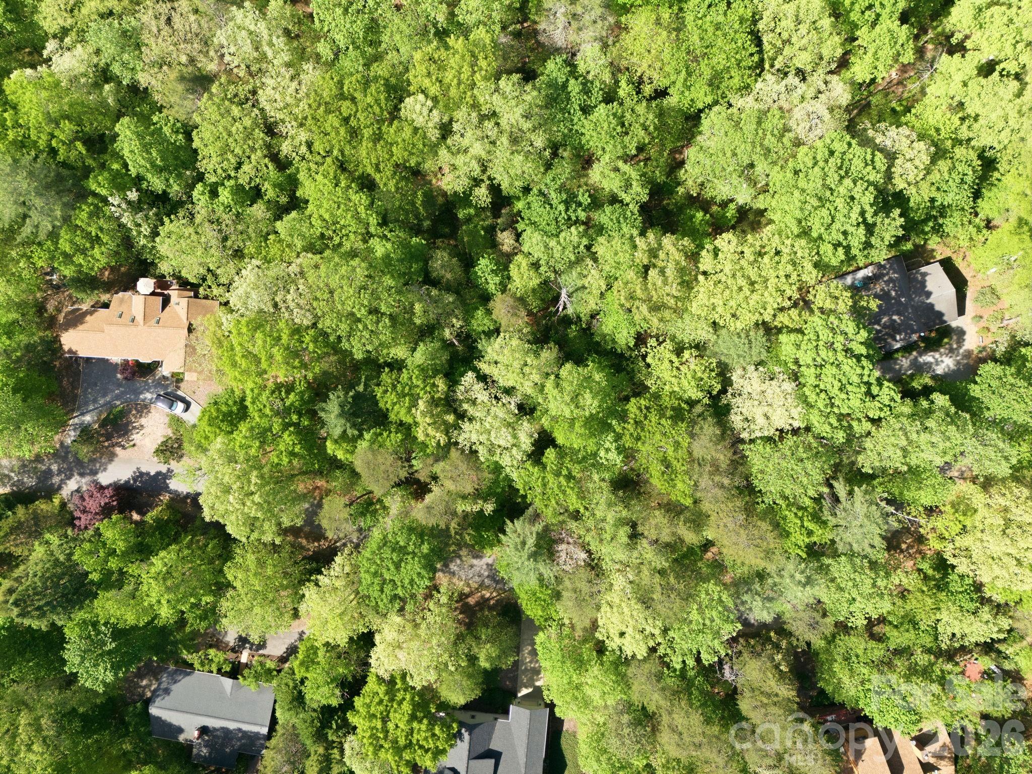 Lot 50 Huntington Road 50 Property Photo 2