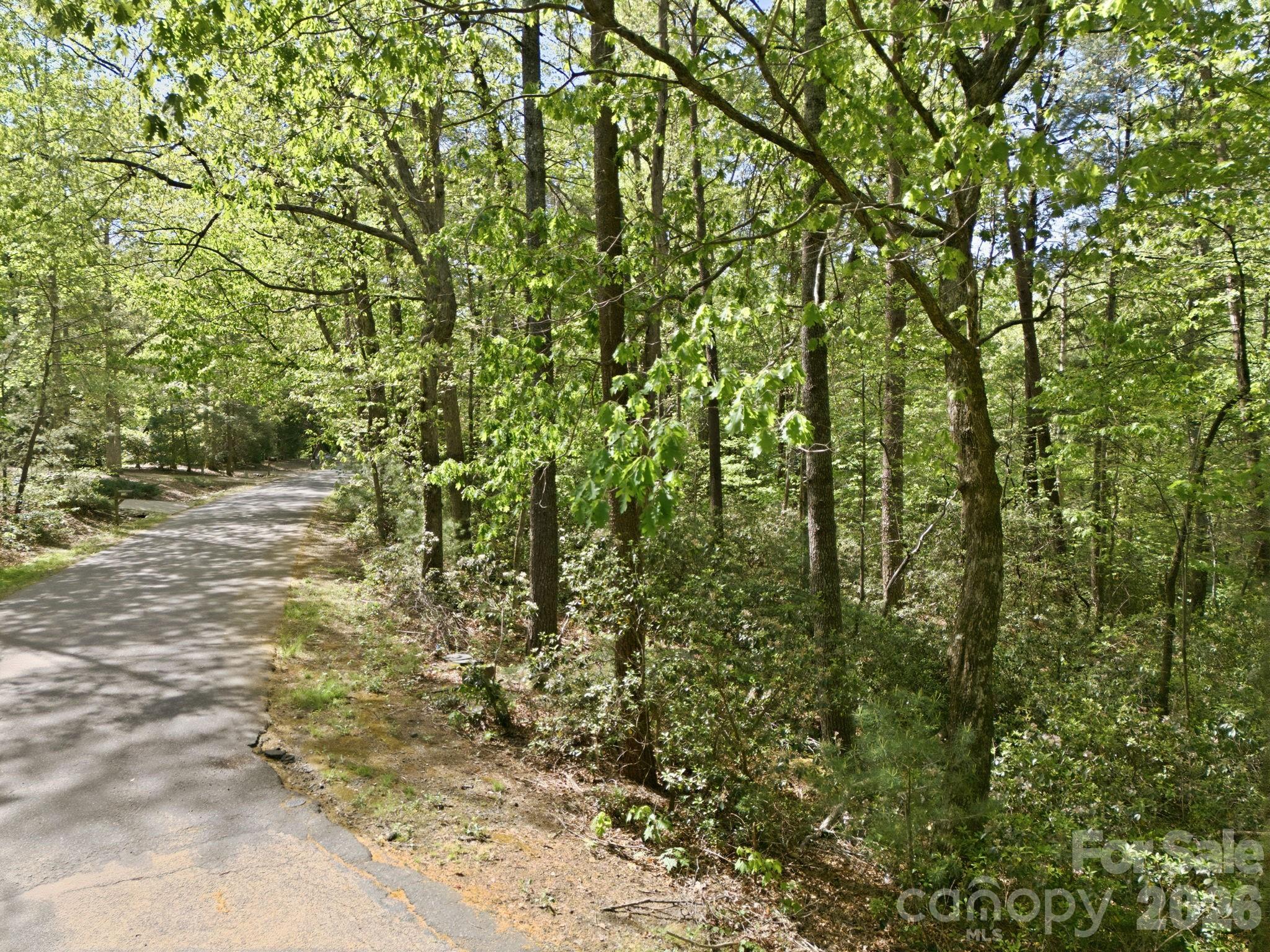 Lot 50 Huntington Road 50 Property Photo 3