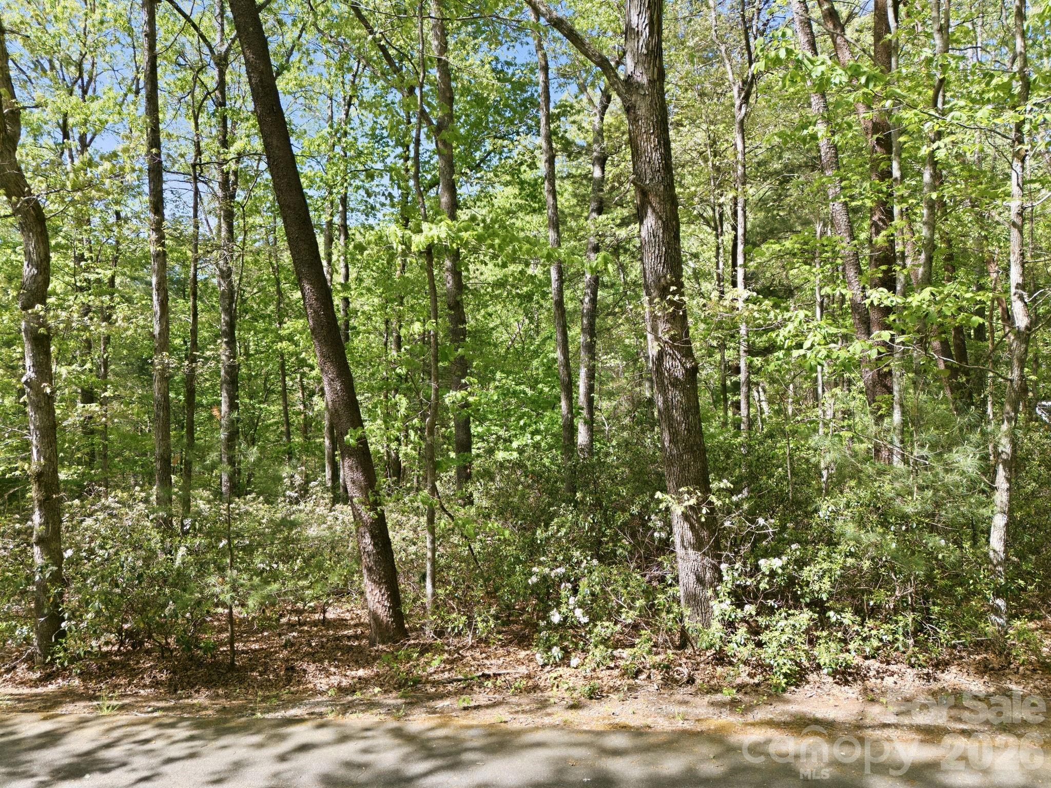 Lot 50 Huntington Road 50 Property Photo 10