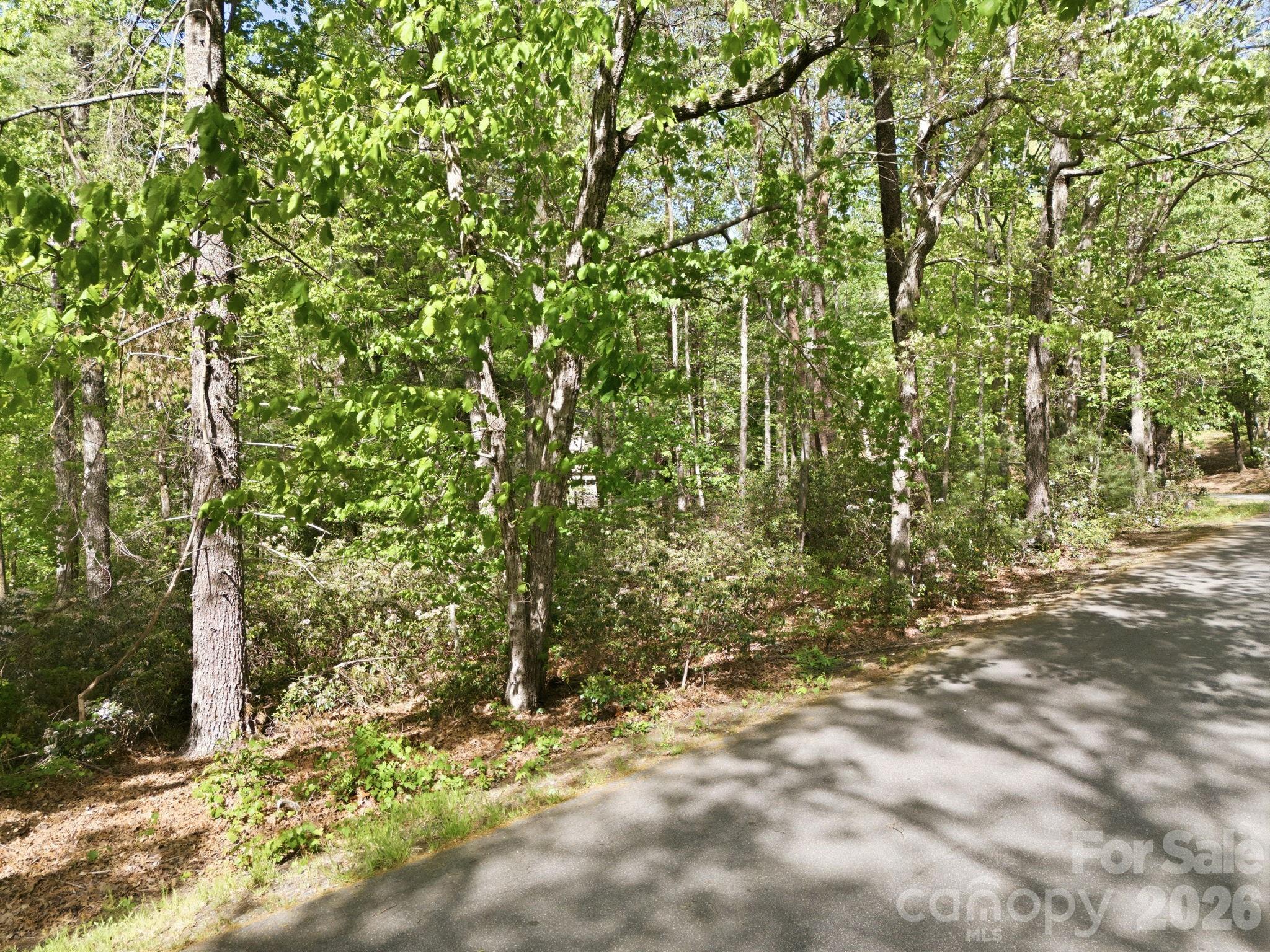 Lot 50 Huntington Road 50 Property Photo 11