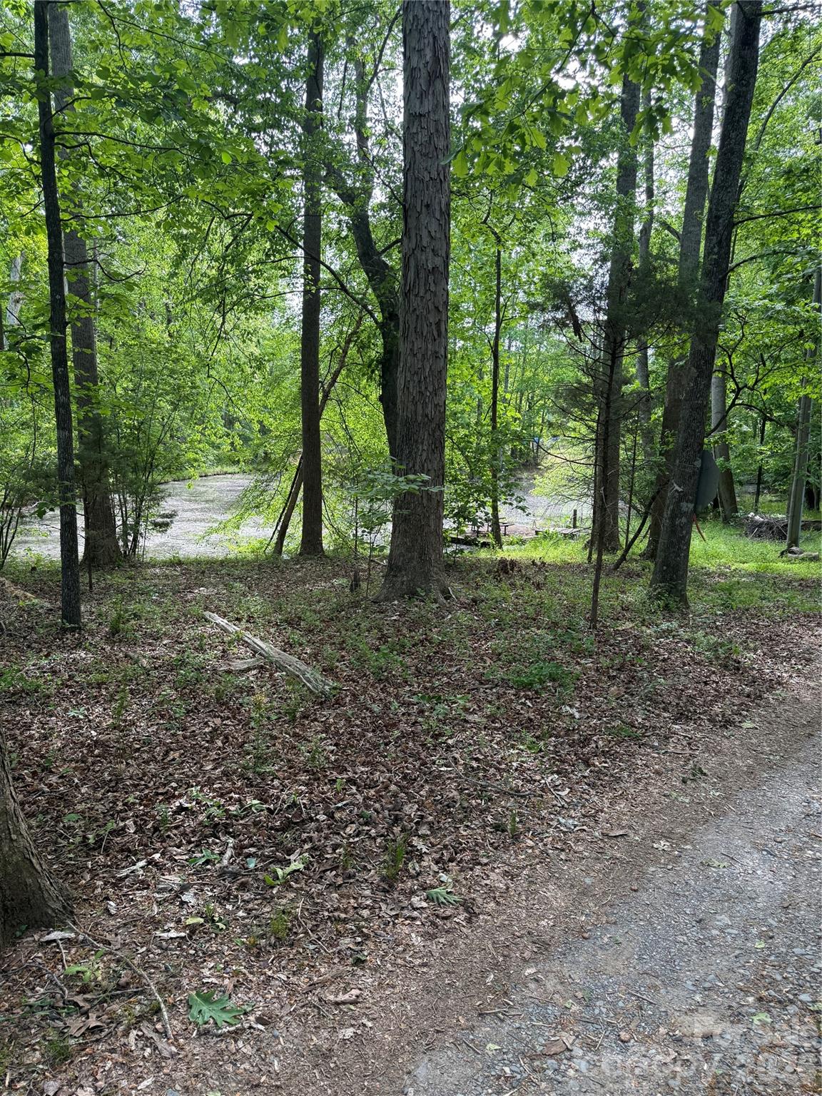 1155 Cedar Pond Lane Property Photo 9
