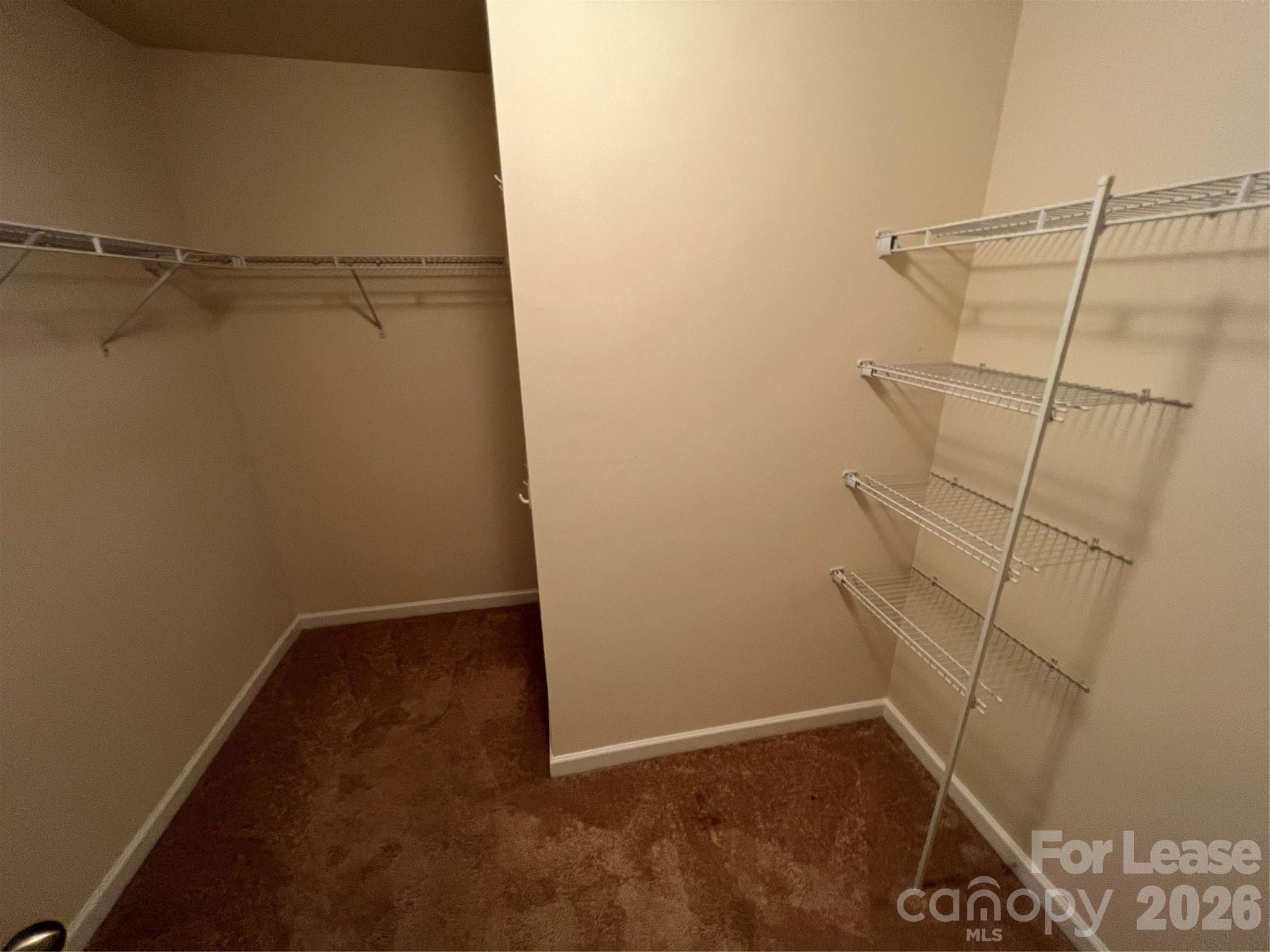 10374 Rutledge Ridge Drive Property Photo 14