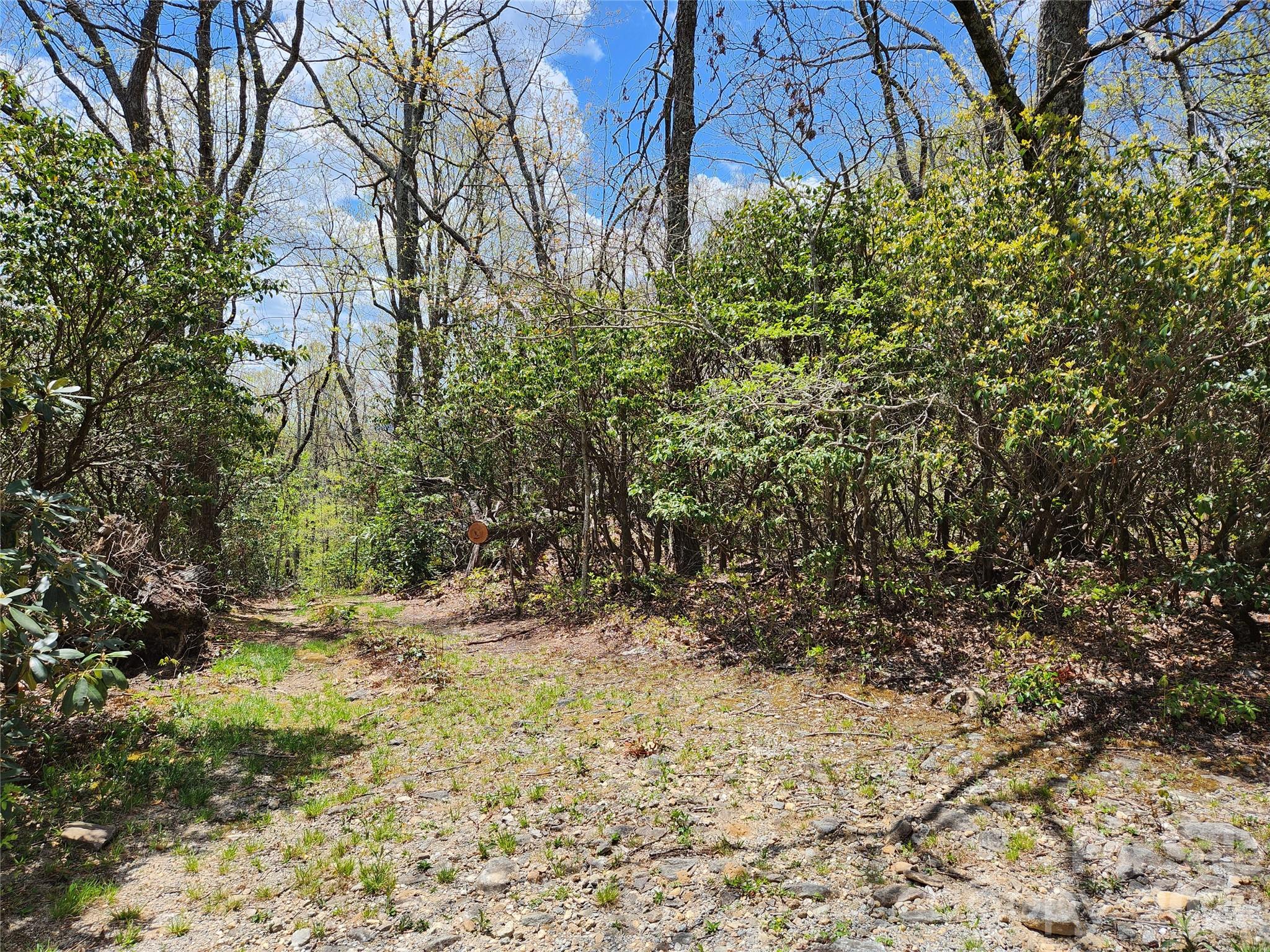 929 Pine Ridge Road Property Photo 4