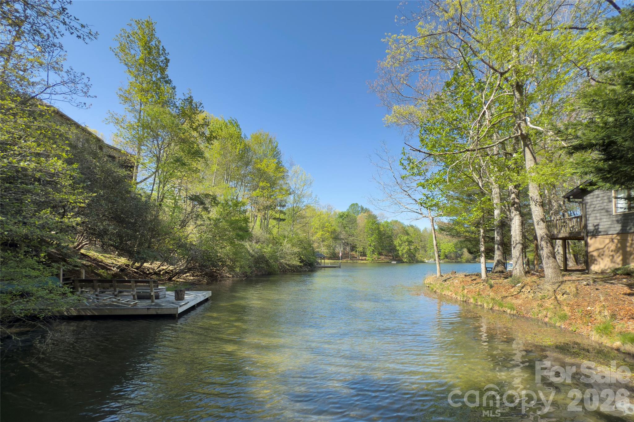 960 Middle Connestee Trail Property Photo 6