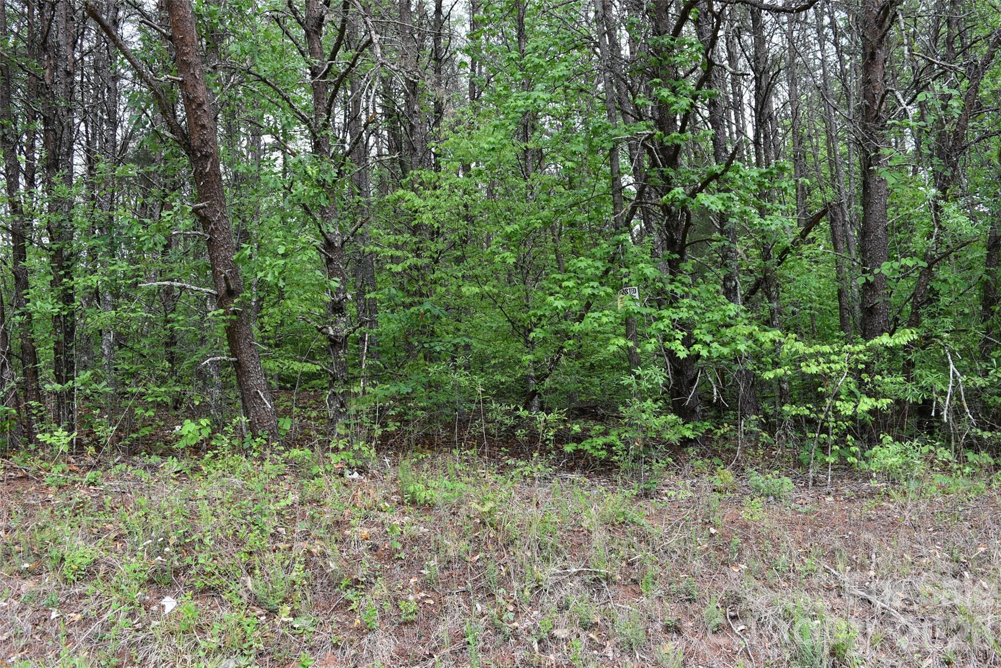 304 Moriah School Road Property Photo 2