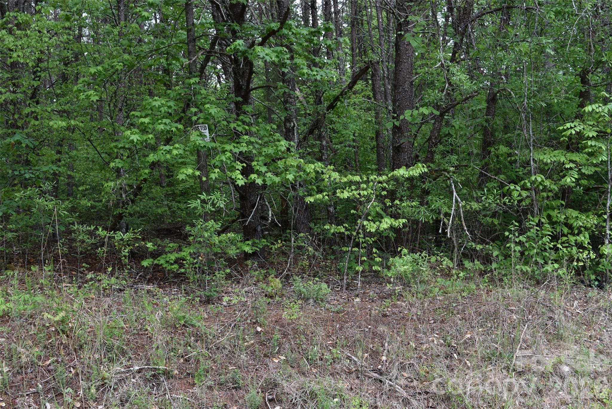 304 Moriah School Road Property Photo 5