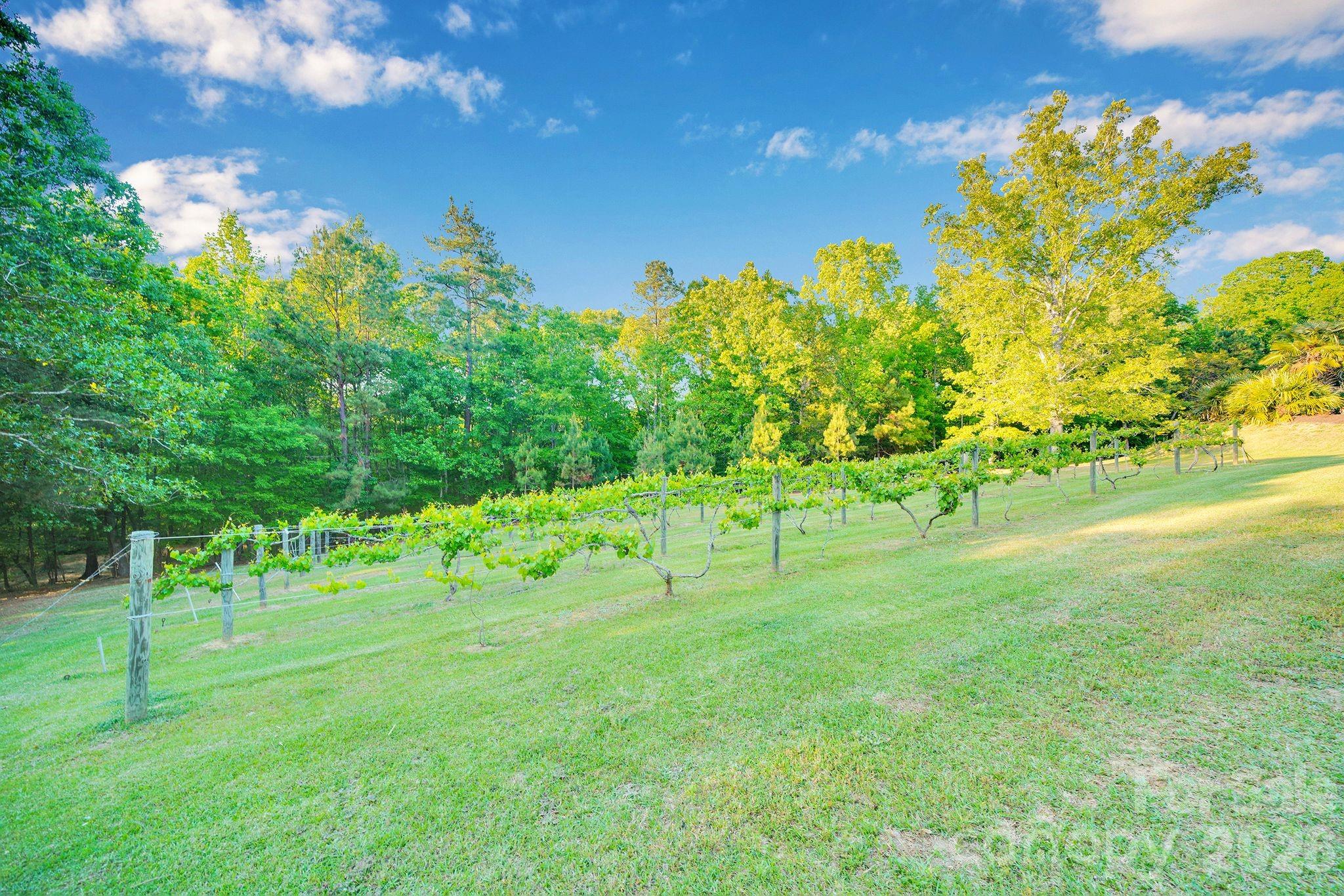 1171 Hilldale Drive Property Photo 37