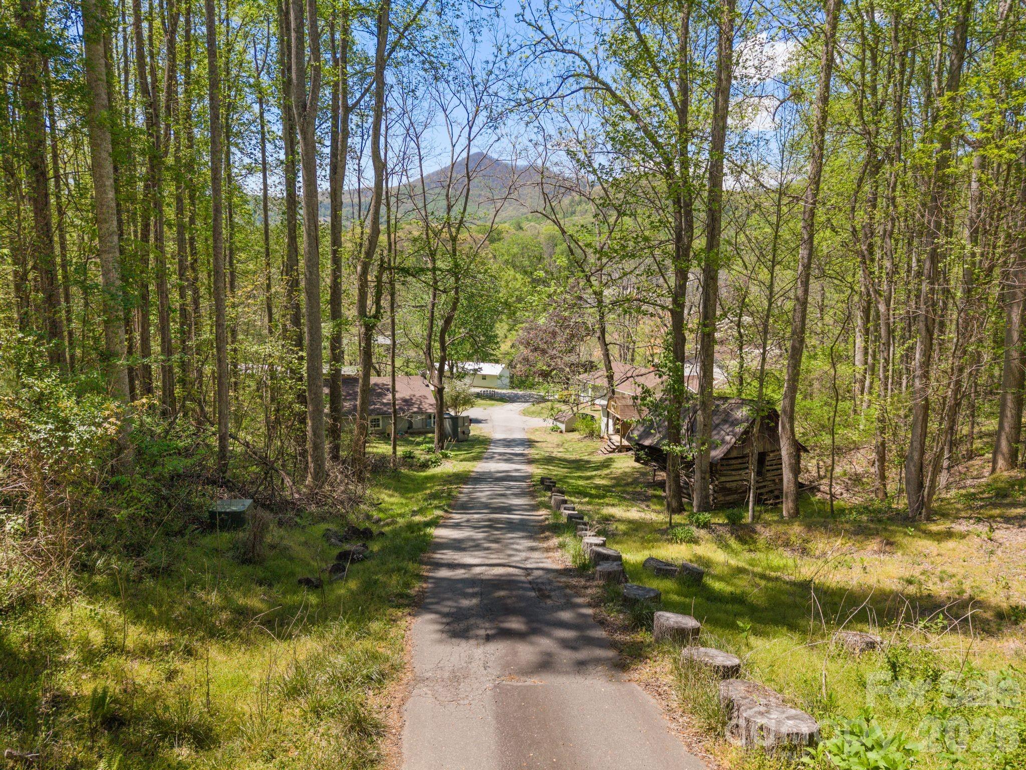 290 Hookers Gap Road Property Photo 9