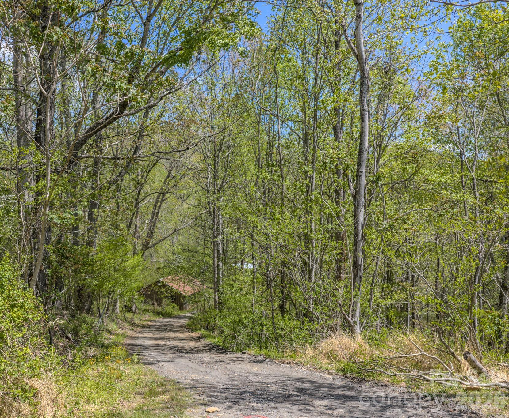 143 Gouge Cemetery Road Property Photo 35
