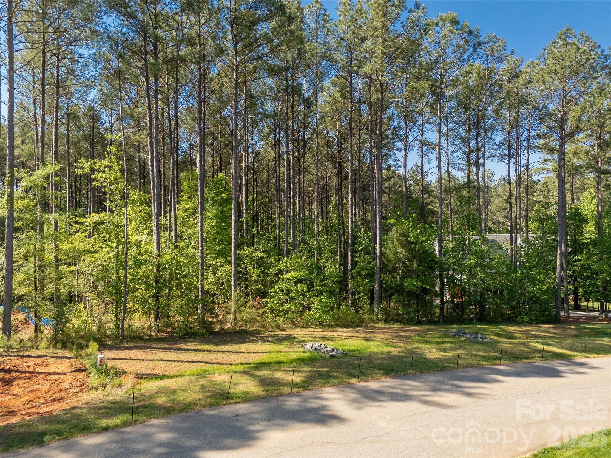 6361 Chimney Bluff Road Property Photo 11