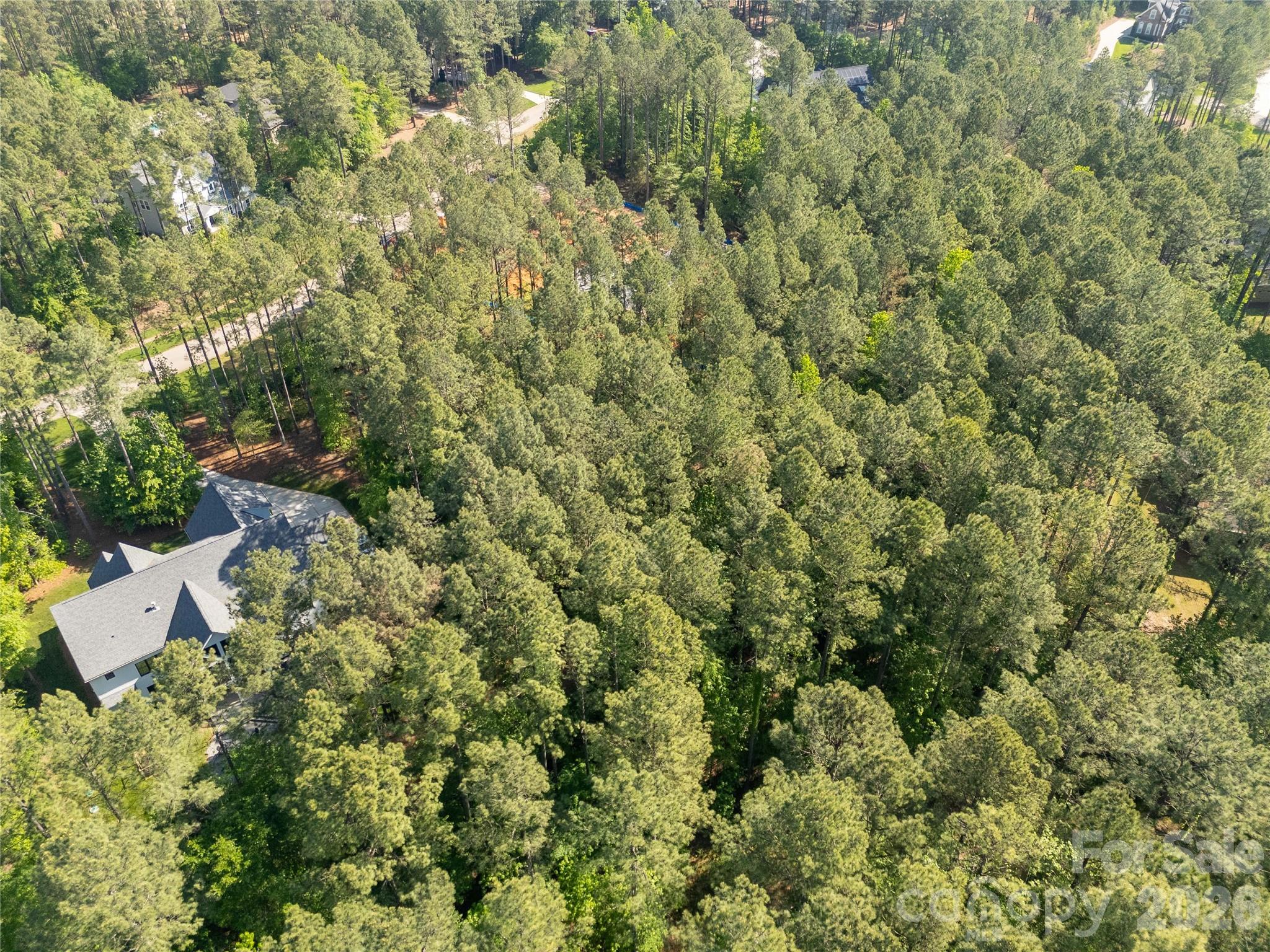 6361 Chimney Bluff Road Property Photo 17