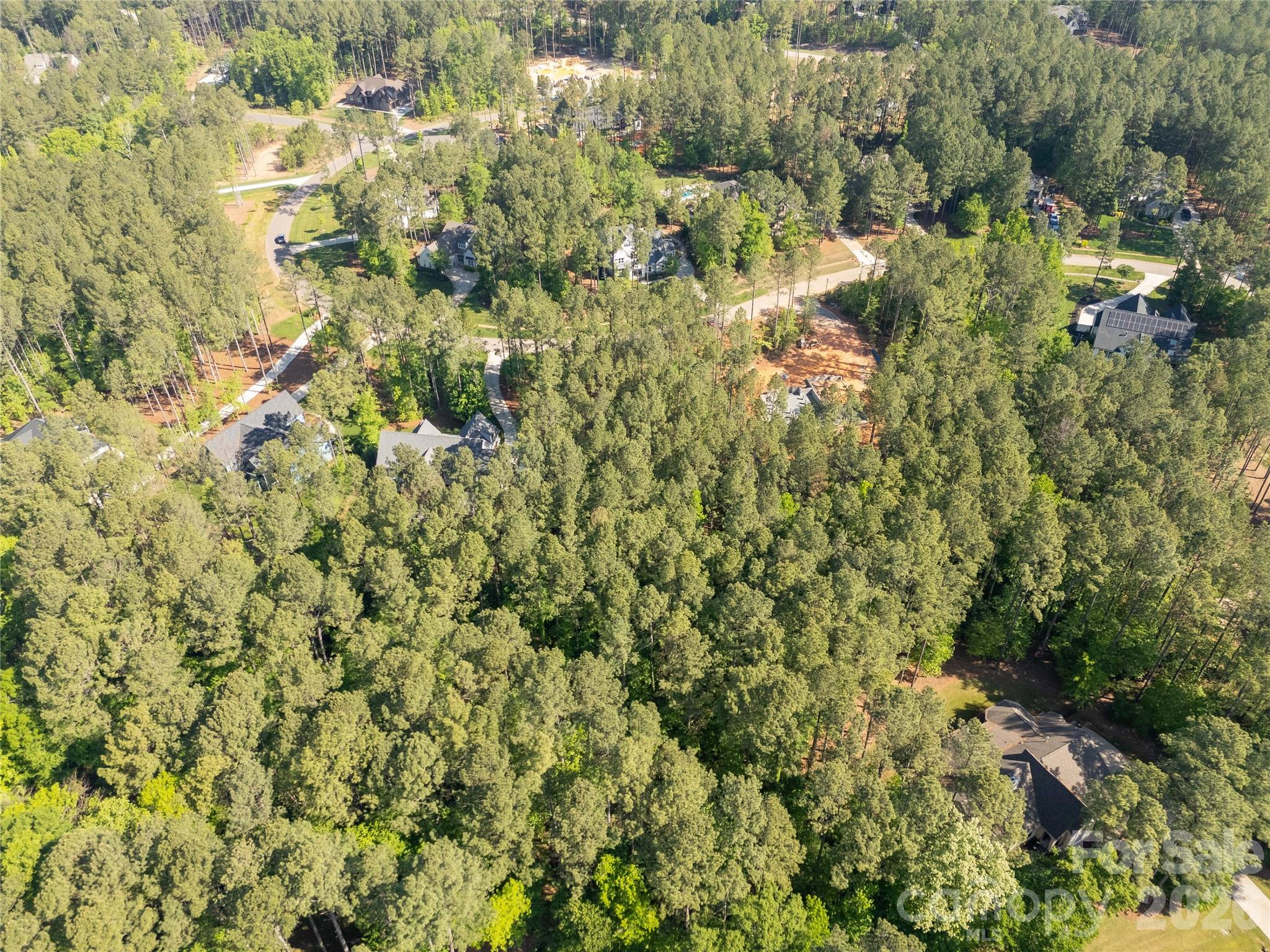 6361 Chimney Bluff Road Property Photo 24