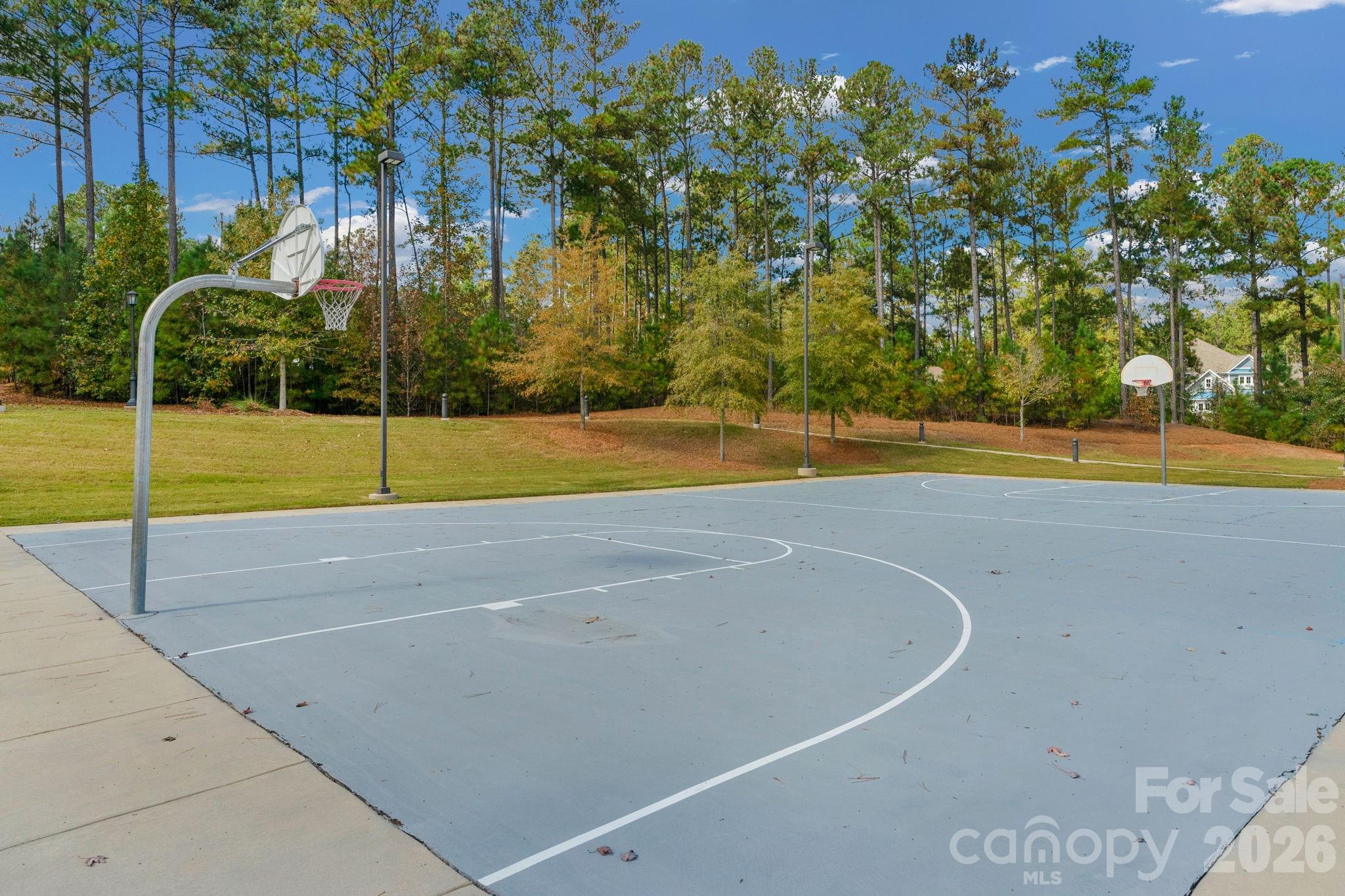 6361 Chimney Bluff Road Property Photo 31