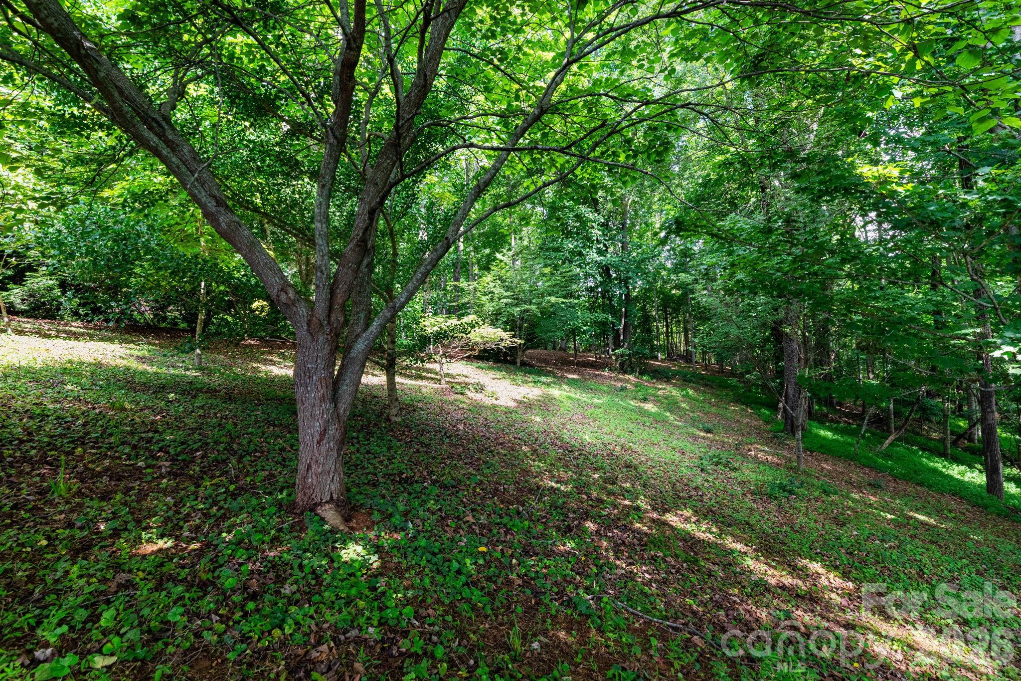44 Deer Meadows Drive Property Photo 31